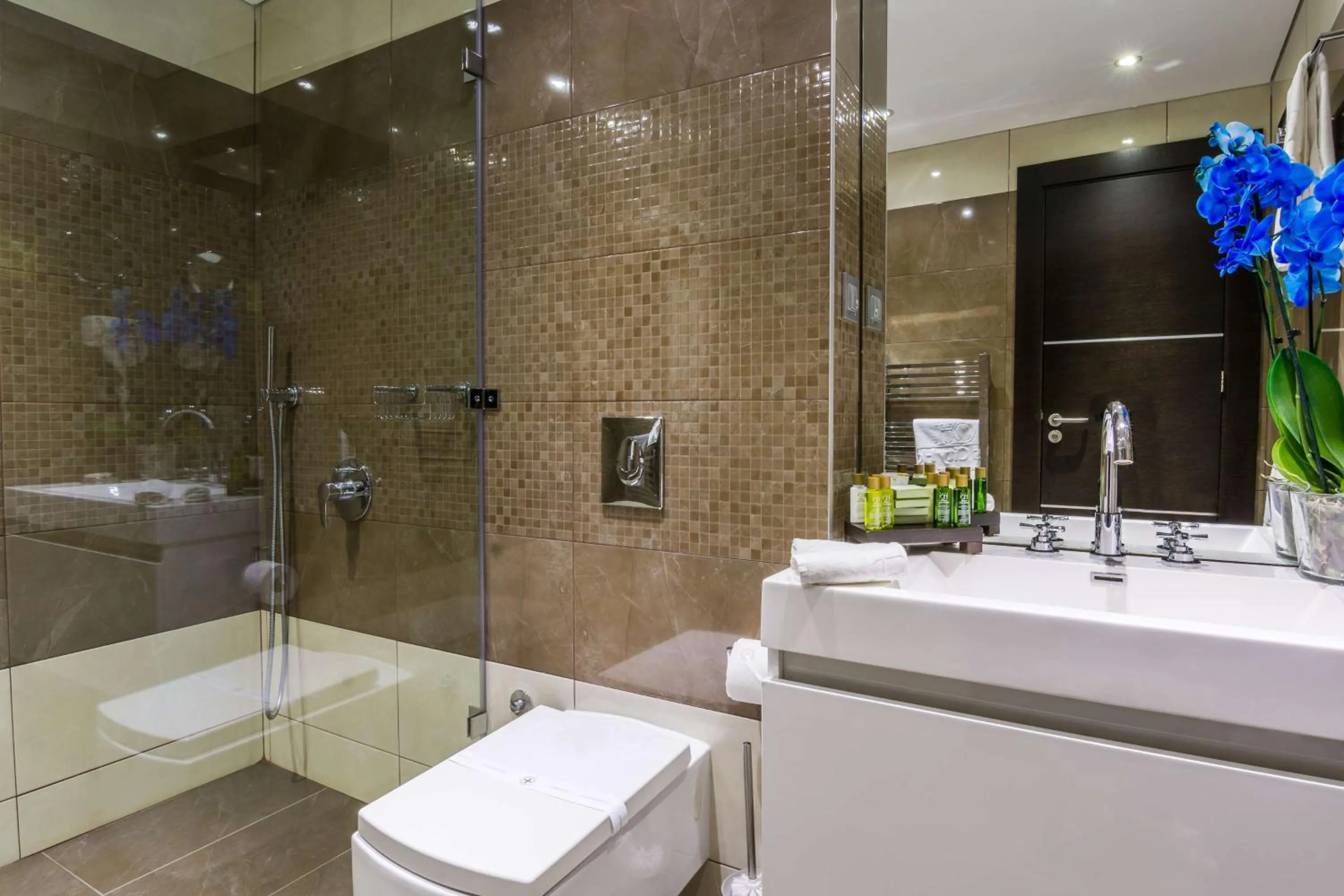 Bathroom in Best Western Plus Olives City Hotel - Free Pool & Parking