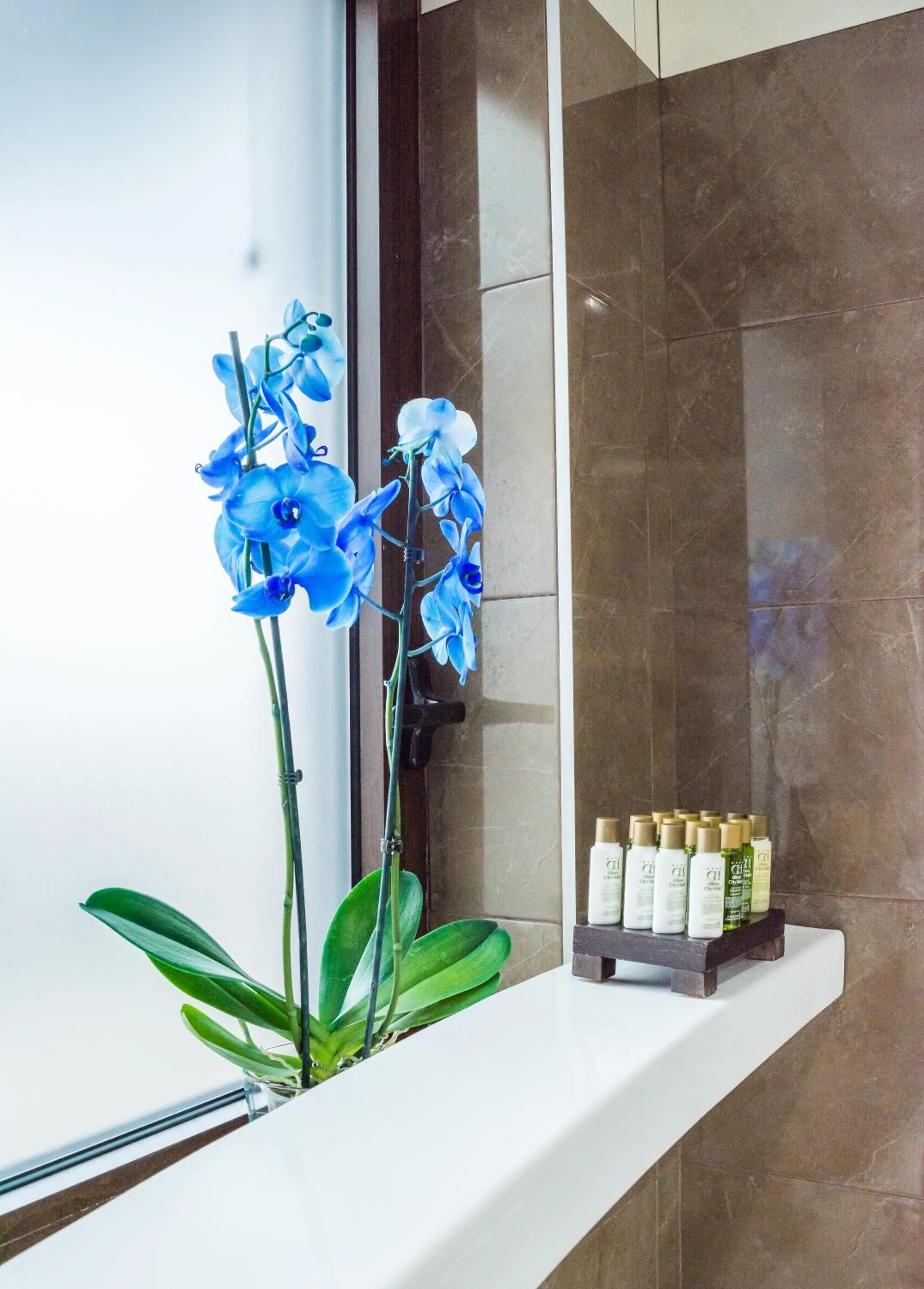 Bathroom in Best Western Plus Olives City Hotel - Free Pool & Parking