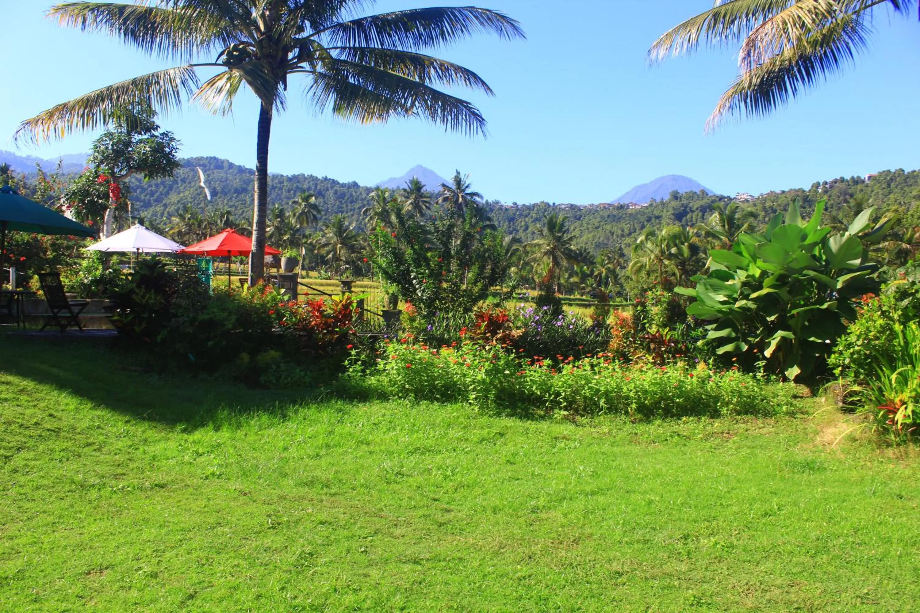Natural landscape in Amartya Puri Green Cottages