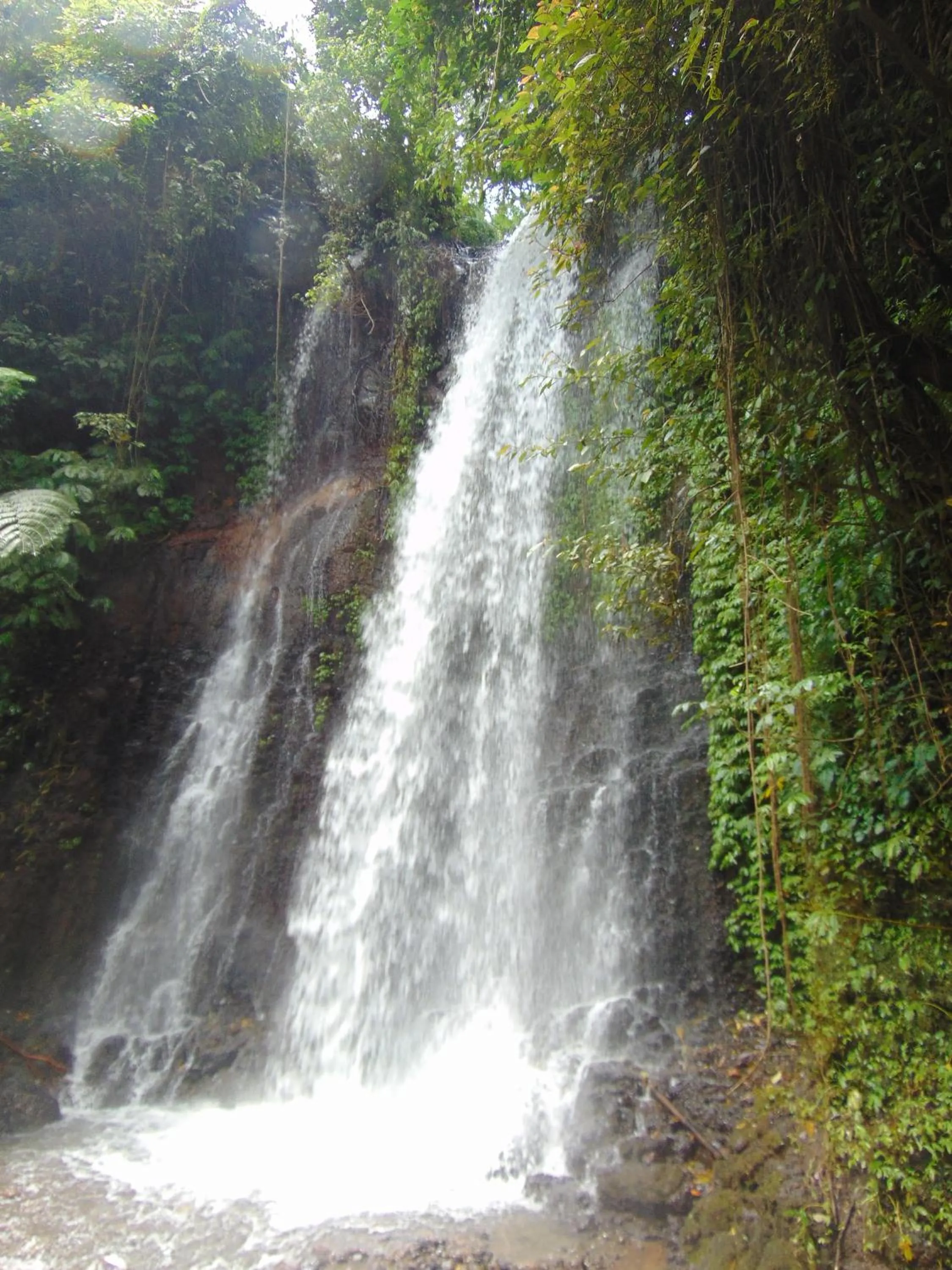 Nearby landmark in Amartya Puri Green Cottages