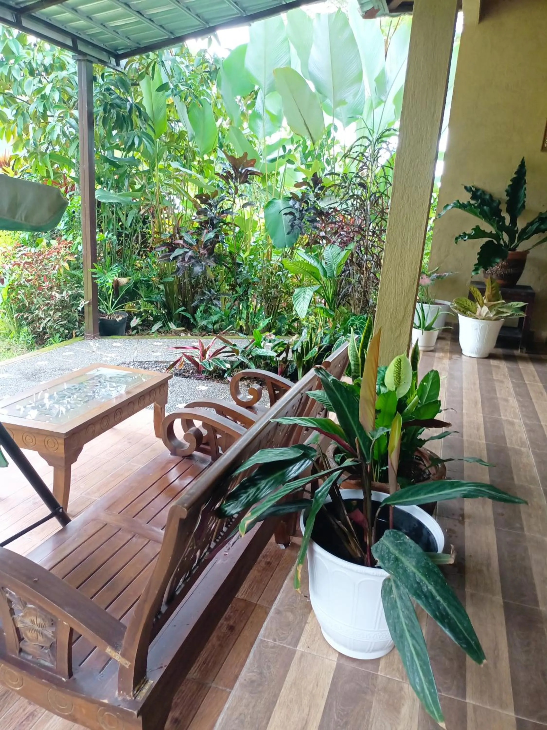 Patio in Amartya Puri Green Cottages