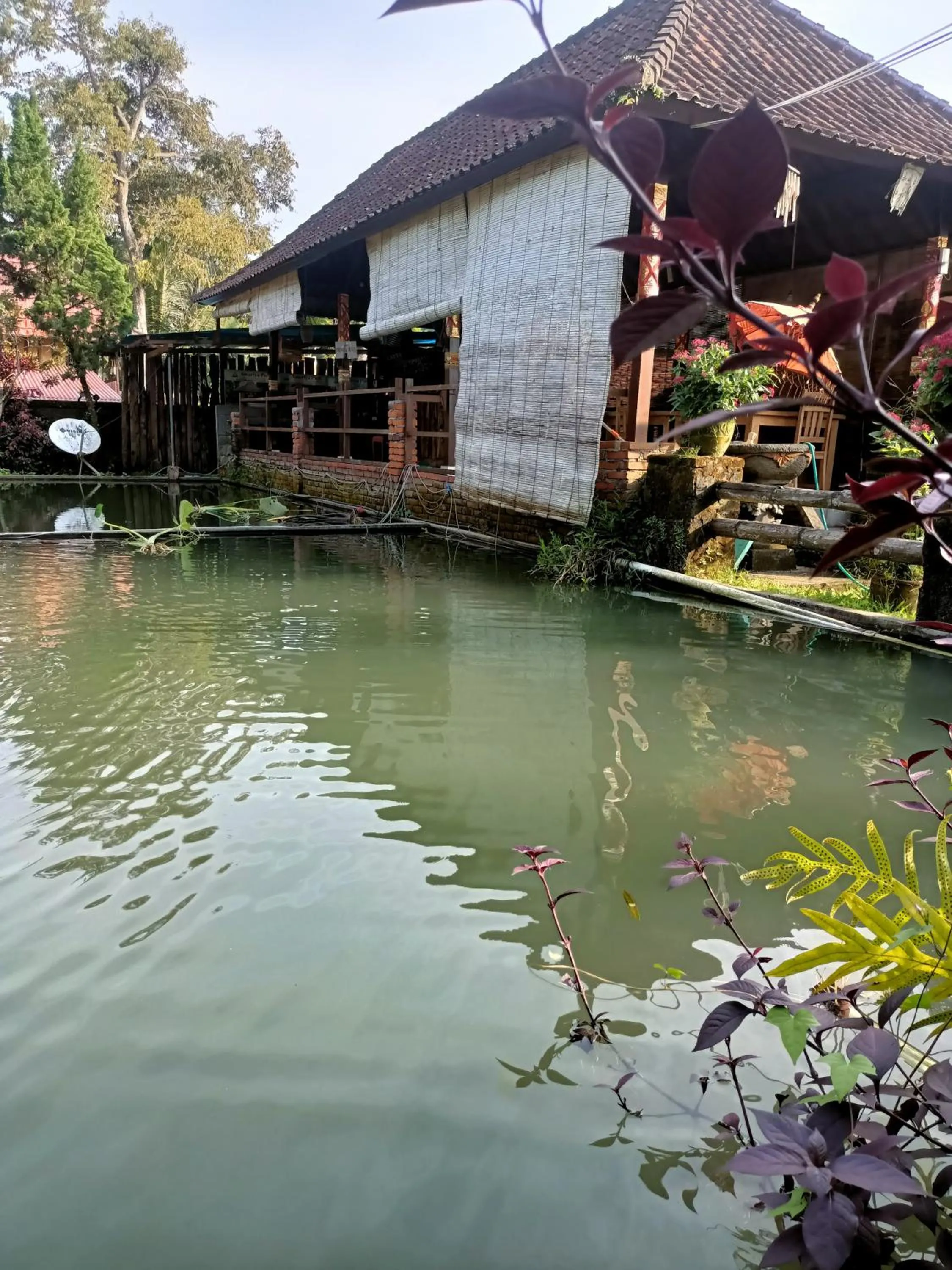 Fishing in Amartya Puri Green Cottages