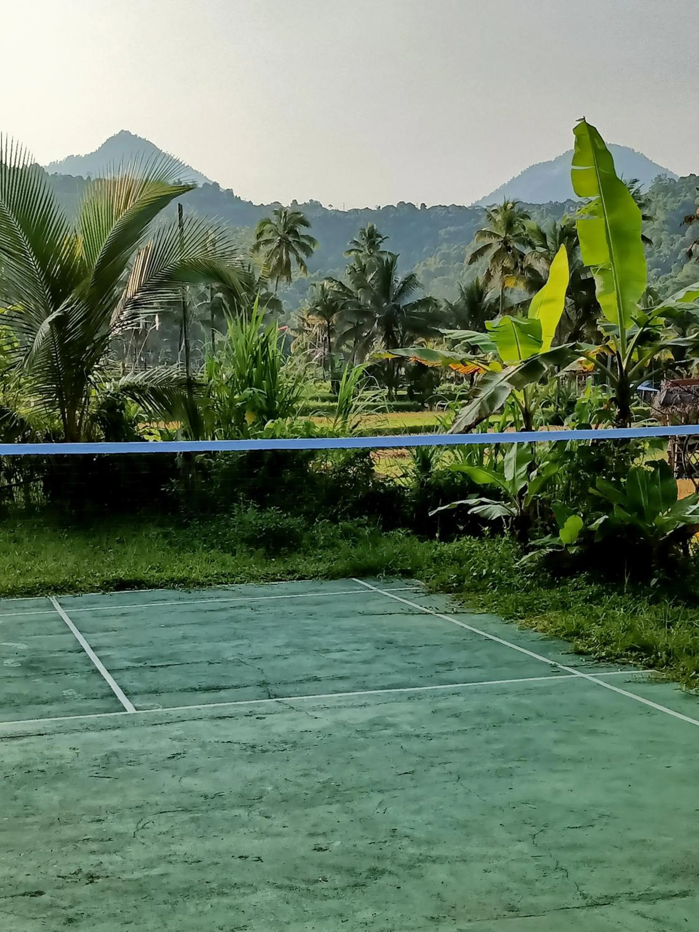 Sports in Amartya Puri Green Cottages