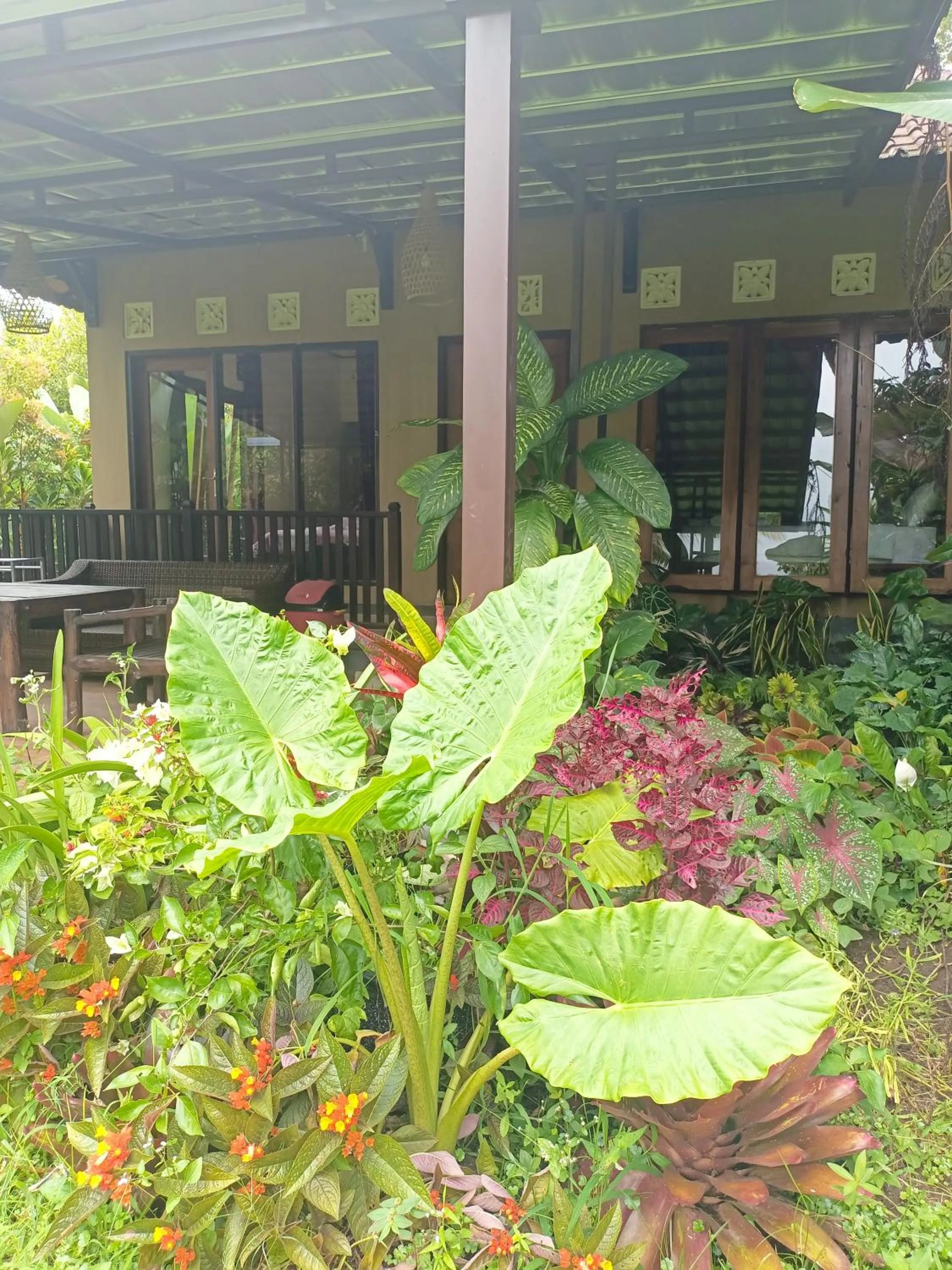 Patio in Amartya Puri Green Cottages