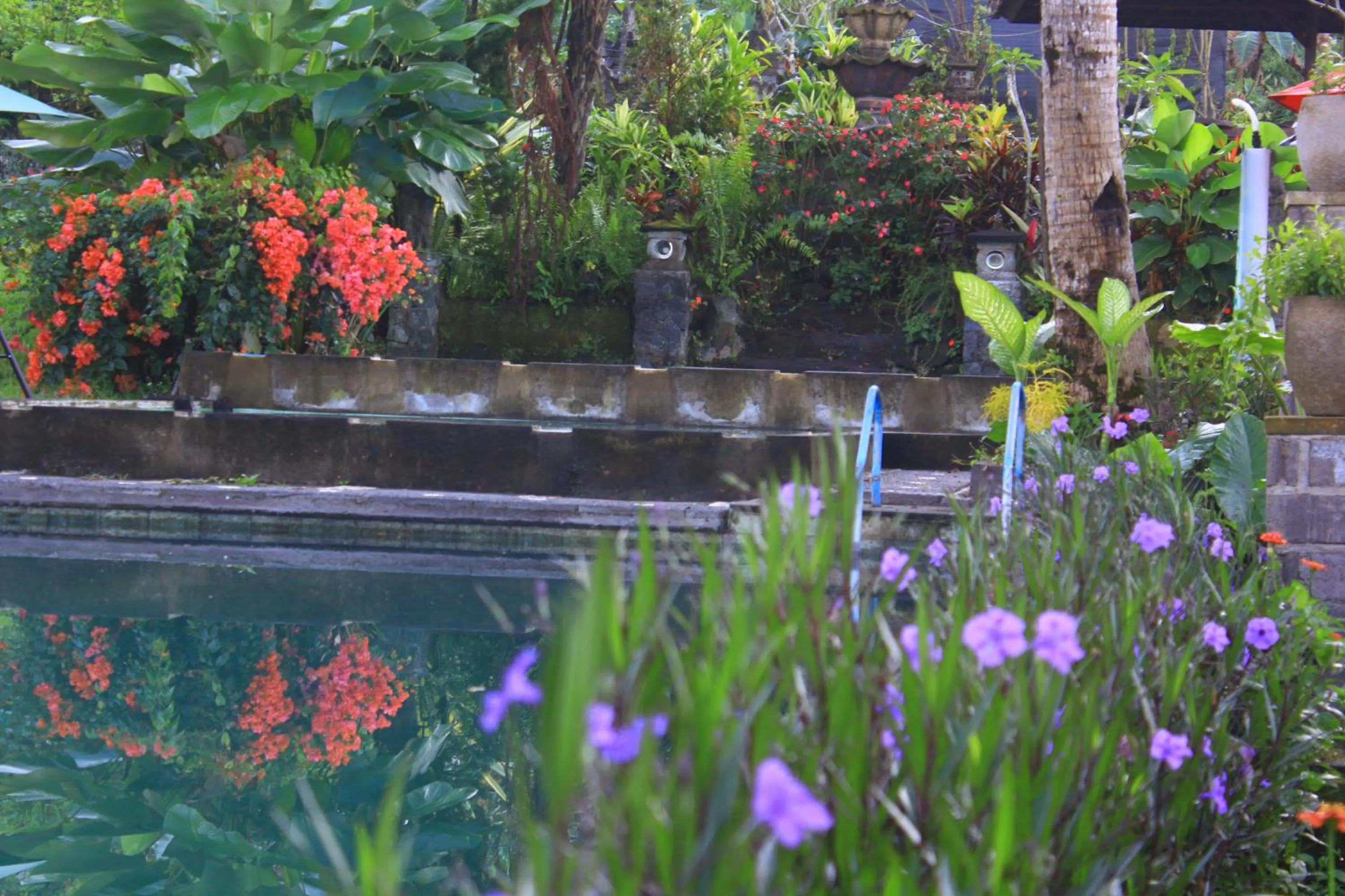 Pool view in Amartya Puri Green Cottages