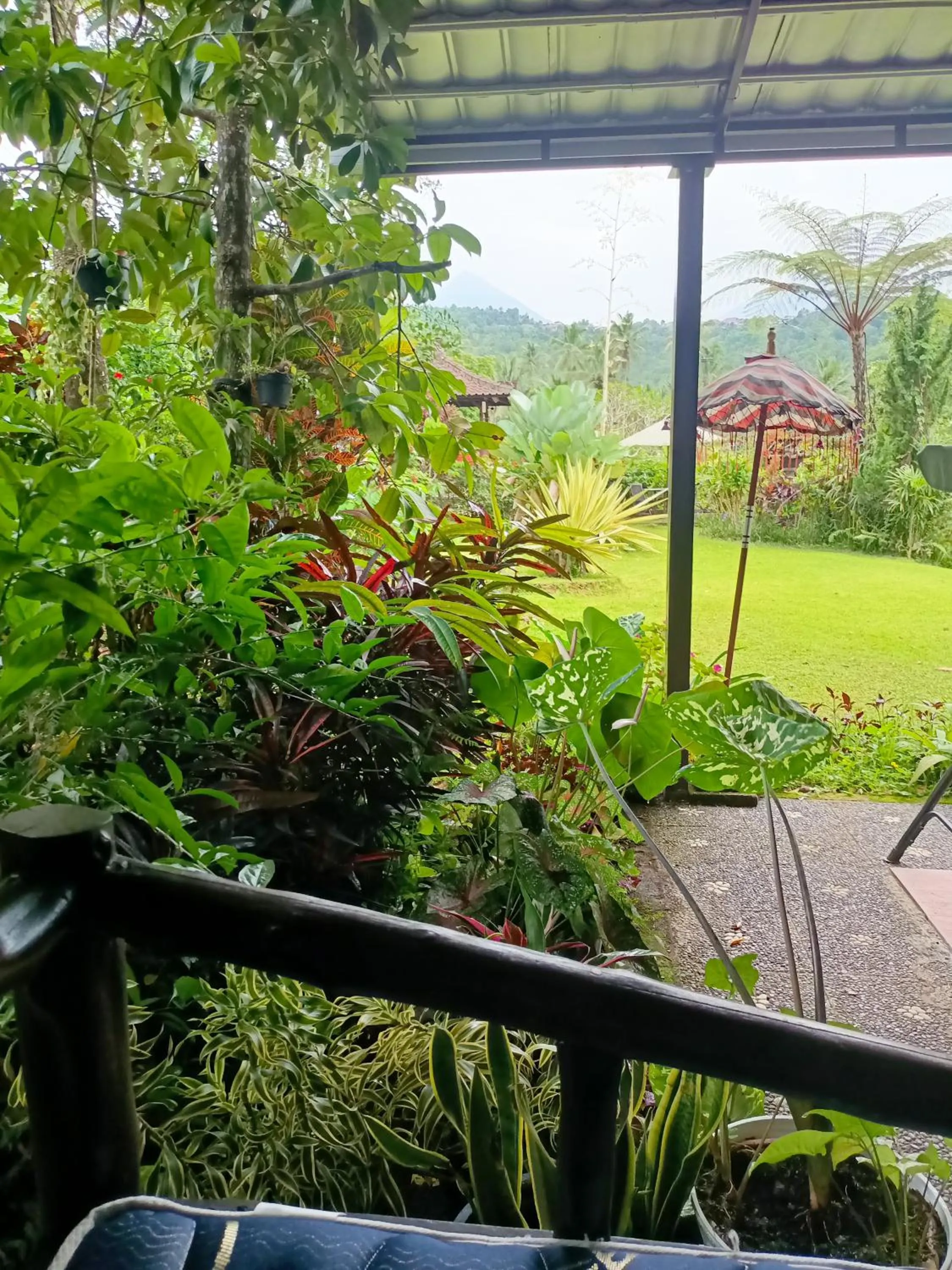 Patio in Amartya Puri Green Cottages