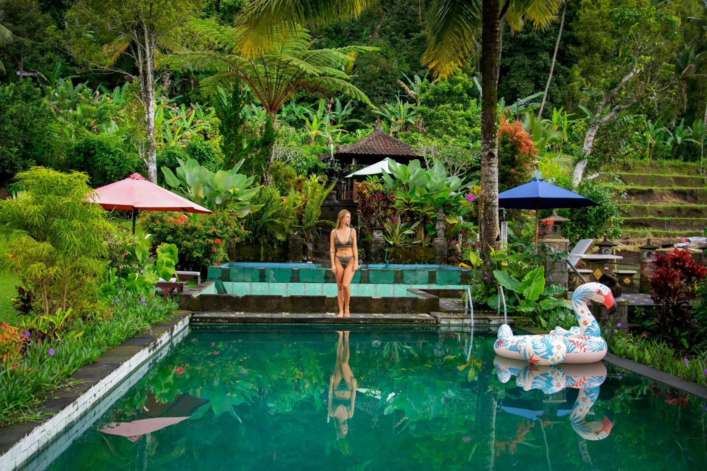 Swimming pool in Amartya Puri Green Cottages