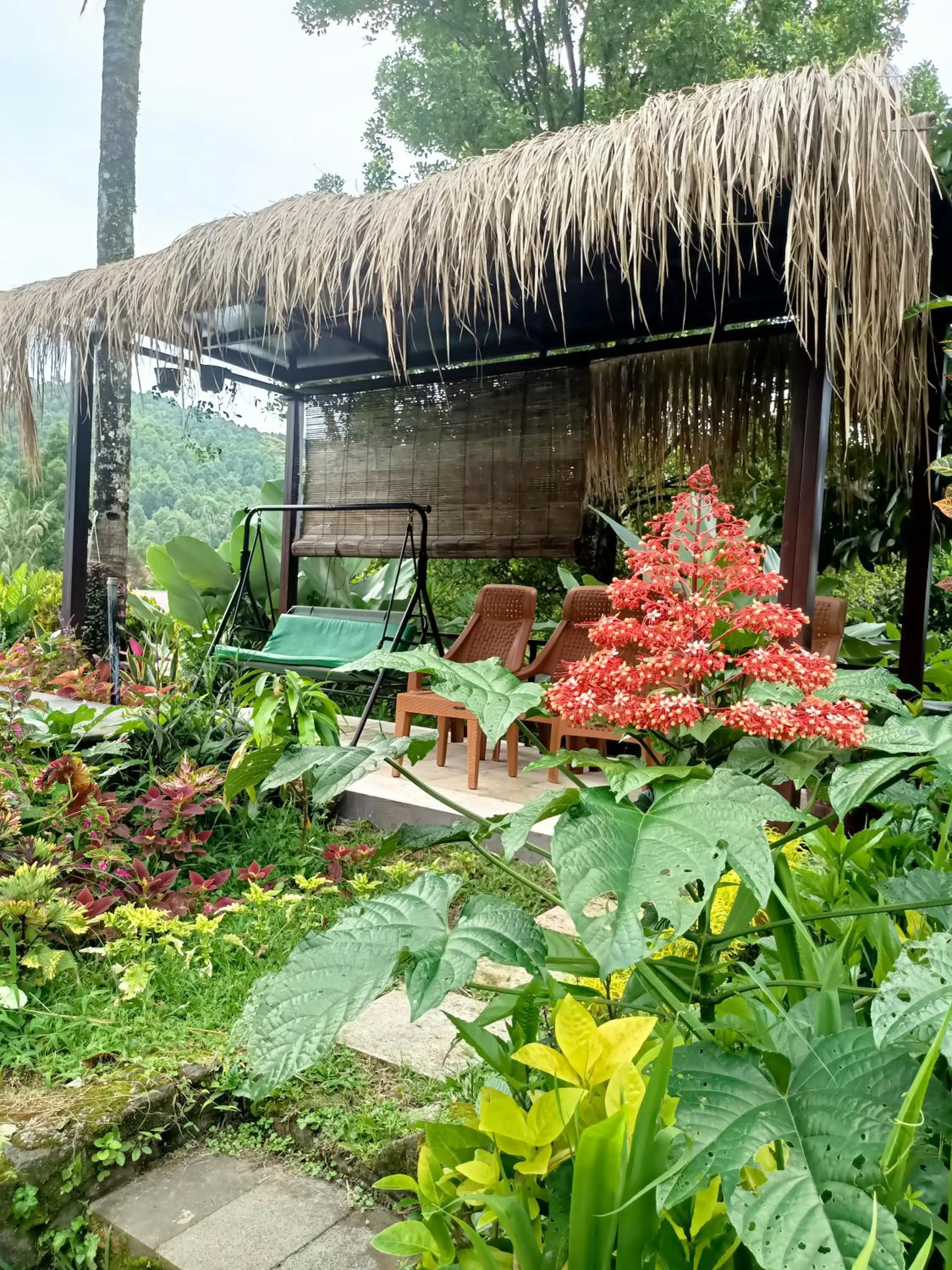 Patio in Amartya Puri Green Cottages