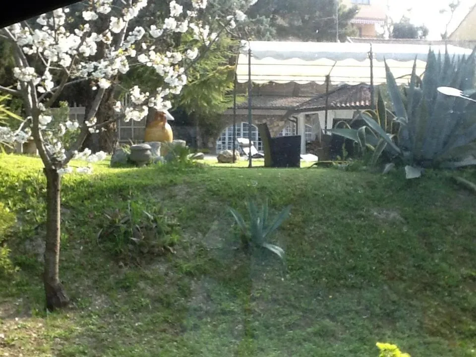 Garden in Villa Ghirardelli