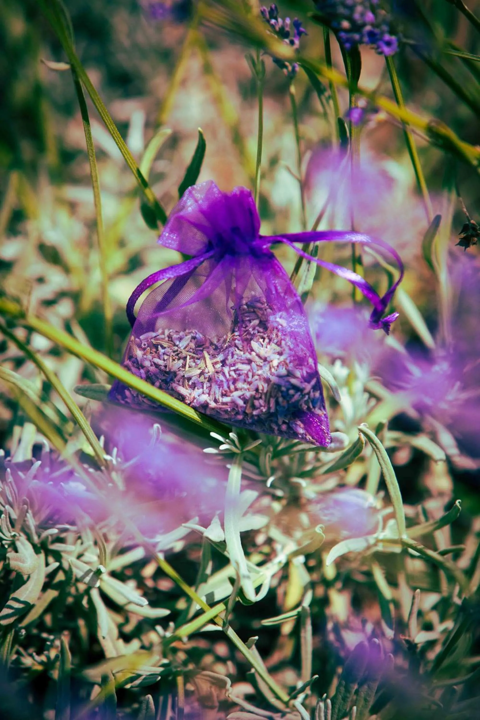 Spring in Casale Elisa Country Hotel