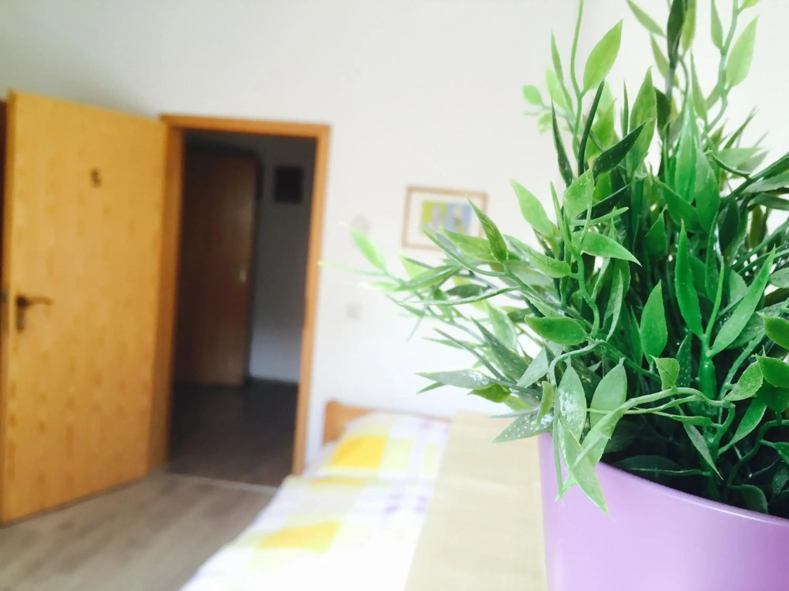 Single Room with Bathroom - single occupancy in Rael-Boardinghouse Single Room with Bathroom - single occupancy in Rael-Boardinghouse