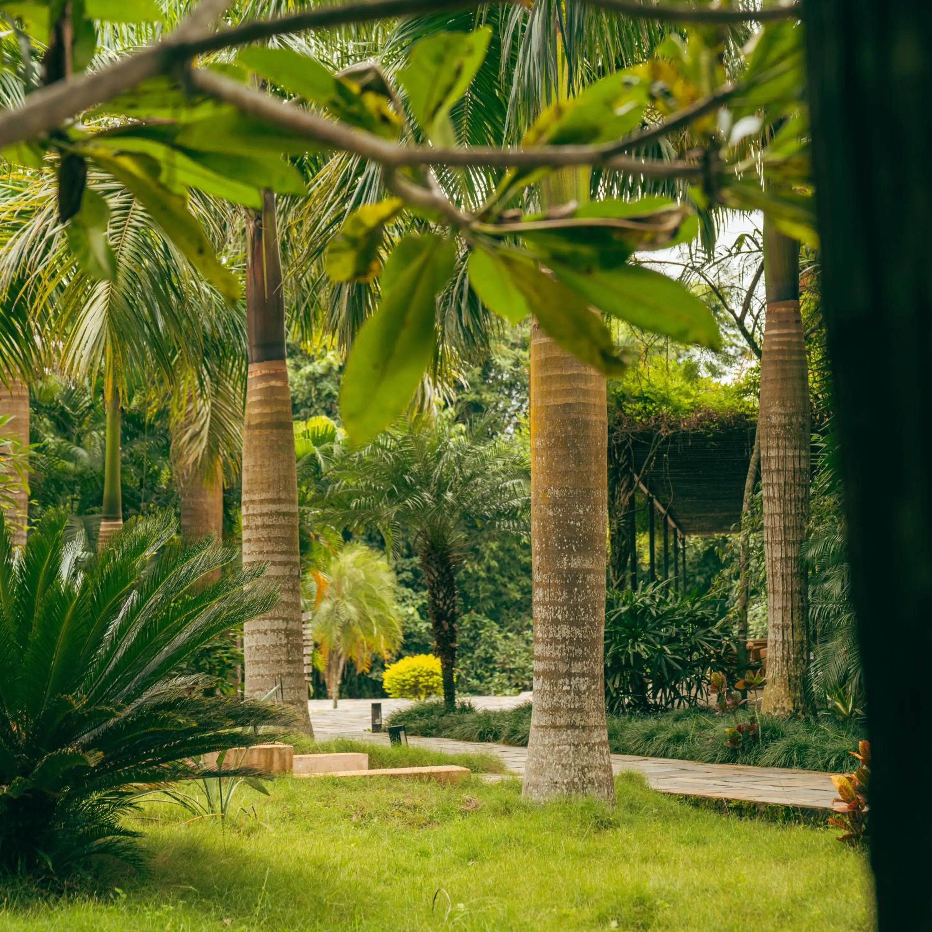 Day in Kasara Chitwan