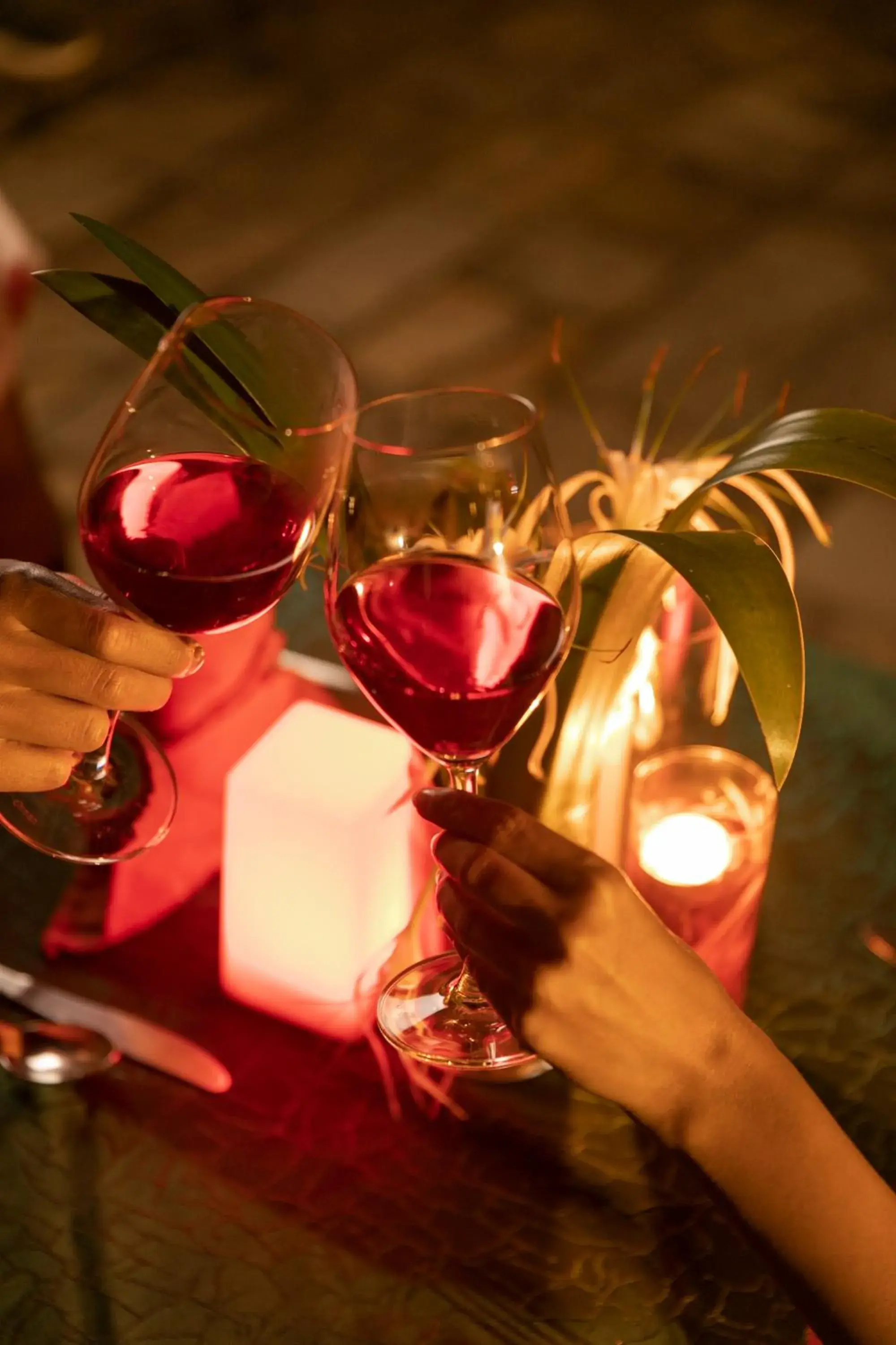 Restaurant/places to eat in Kasara Chitwan Restaurant/places to eat in Kasara Chitwan