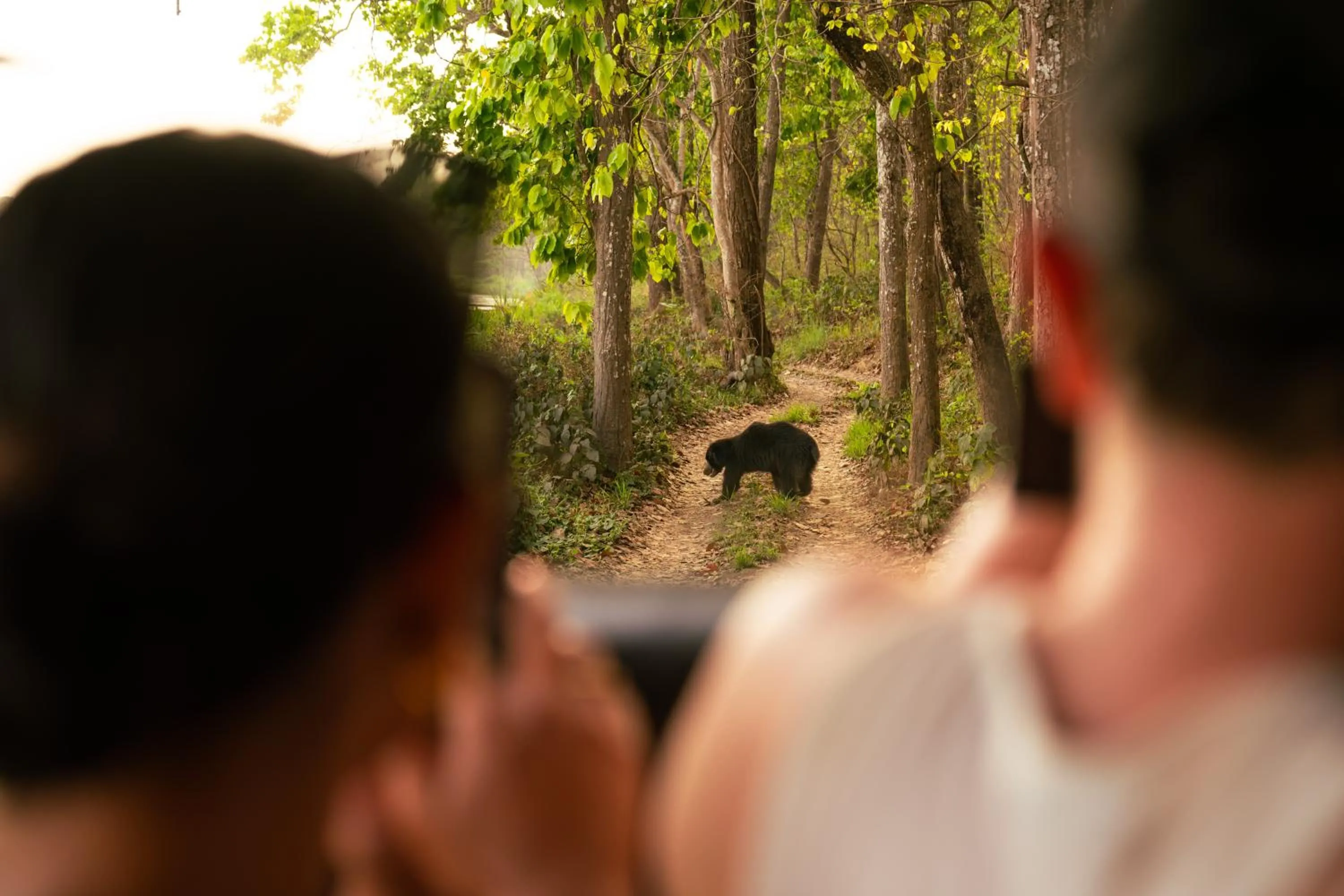 Activities in Kasara Chitwan
