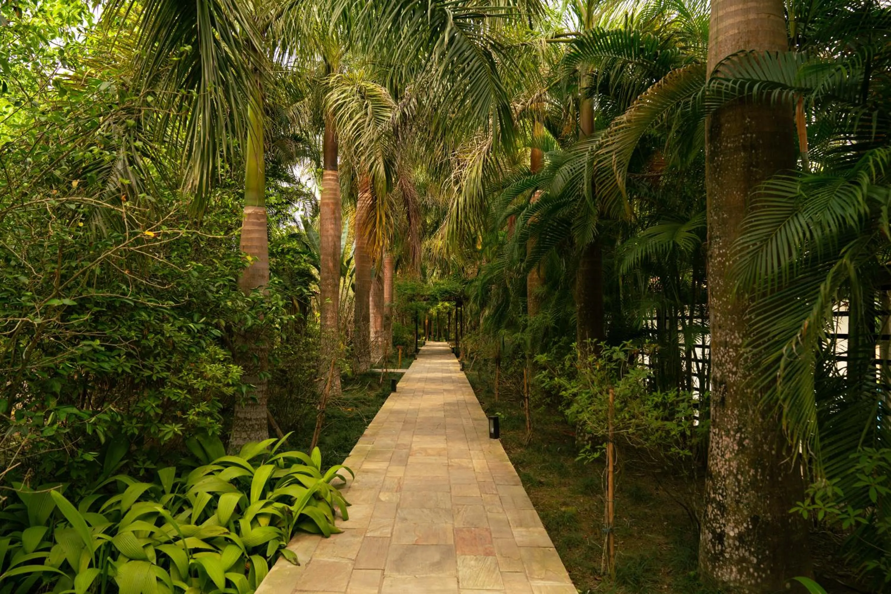 Property building in Kasara Chitwan