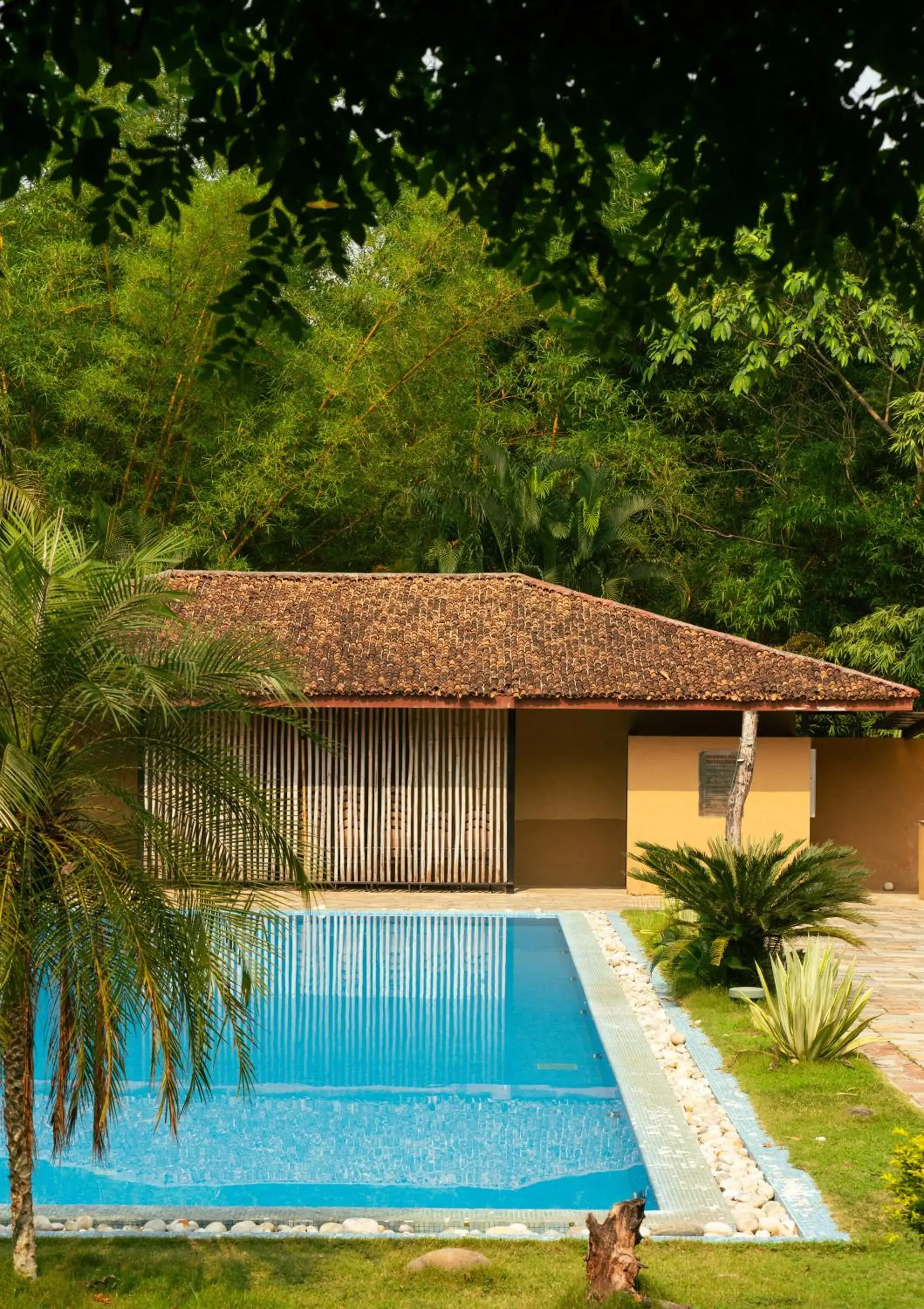 Property building in Kasara Chitwan Property building in Kasara Chitwan