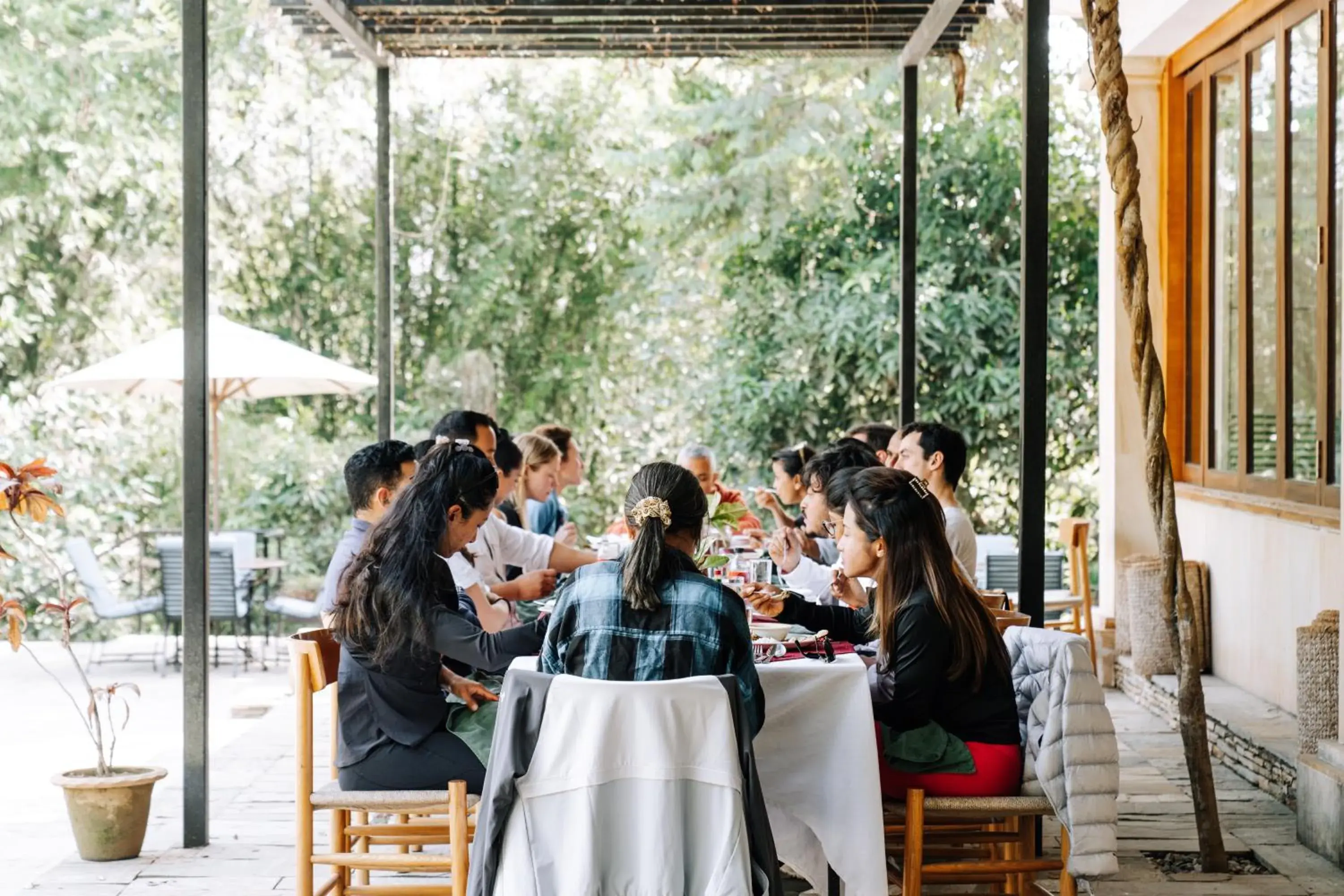 Restaurant/places to eat in Kasara Chitwan Restaurant/places to eat in Kasara Chitwan
