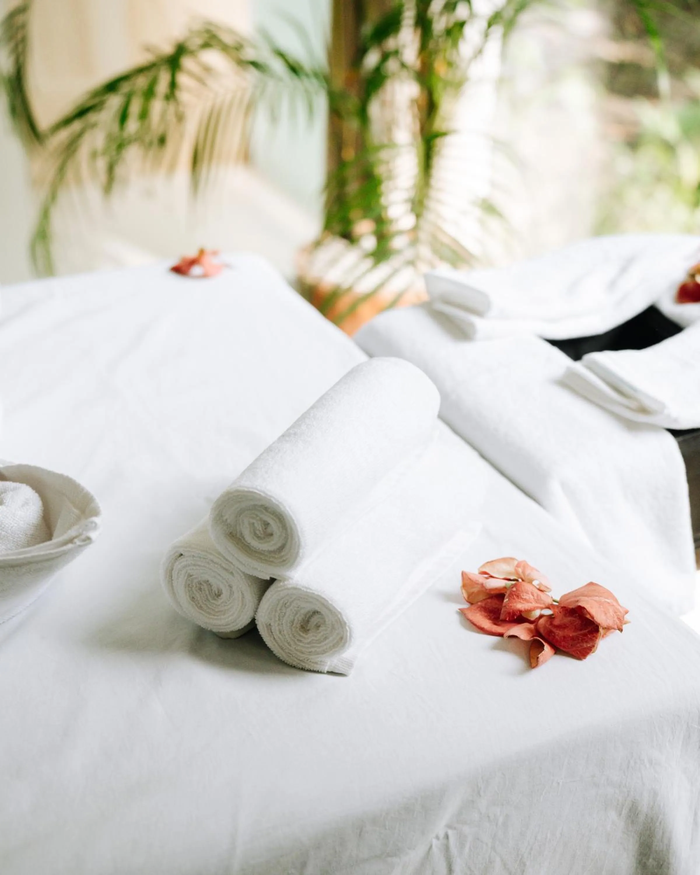 Bed in Kasara Chitwan