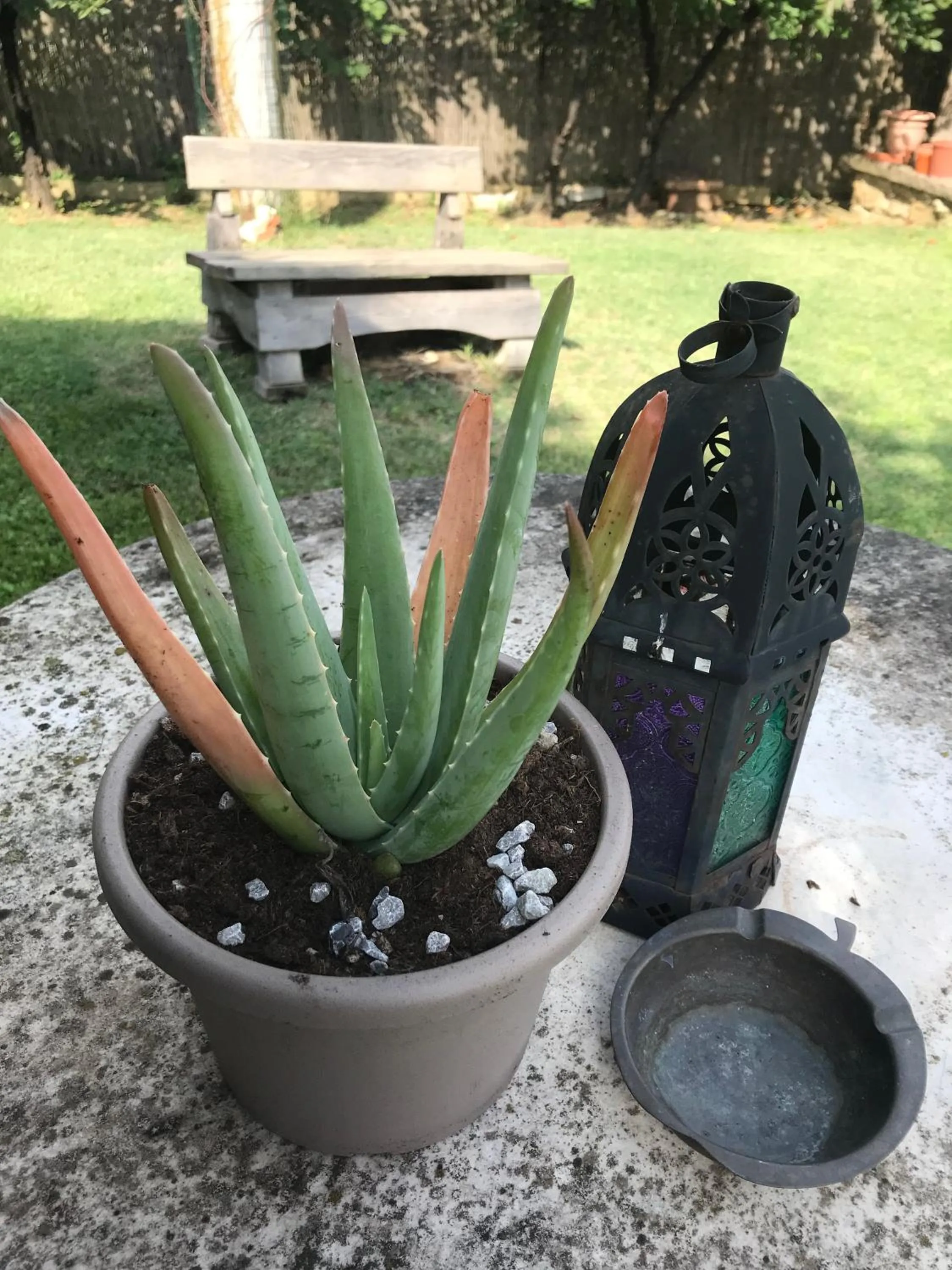 Decorative detail in Casa Aloe B&B