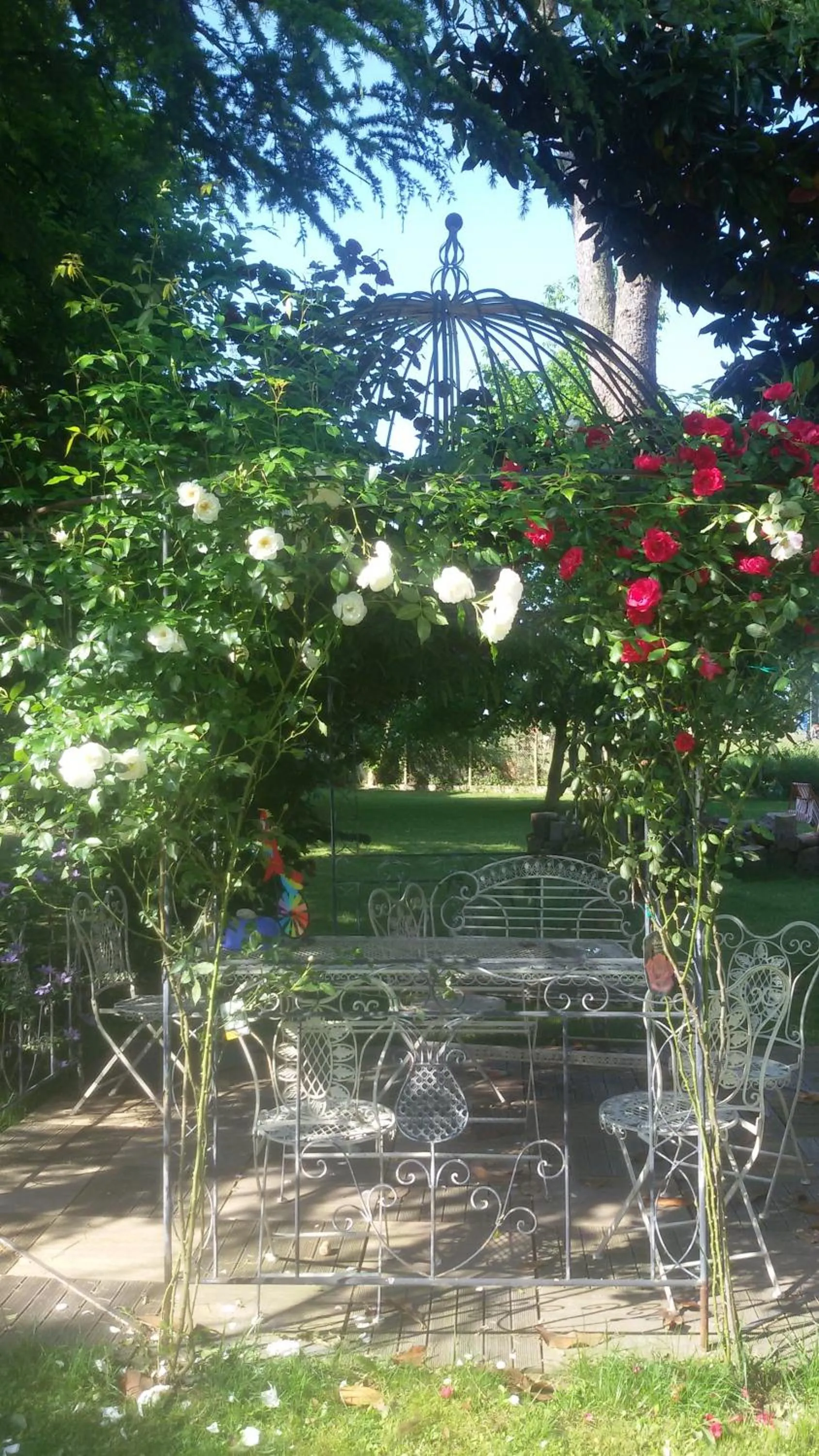 Spring in Fiori Di Maggio