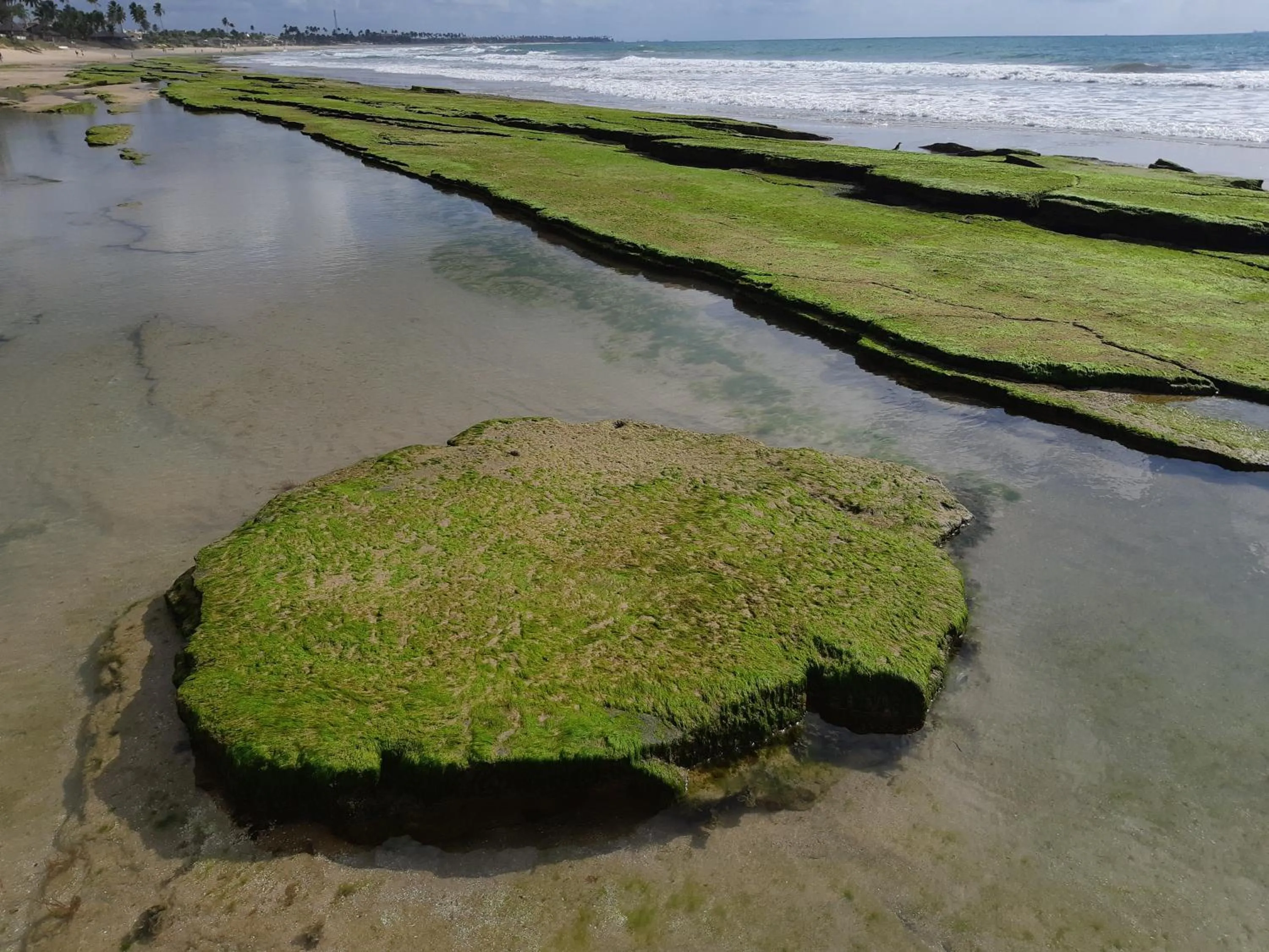 Natural landscape in Condomínio Merepe Residence Duplex