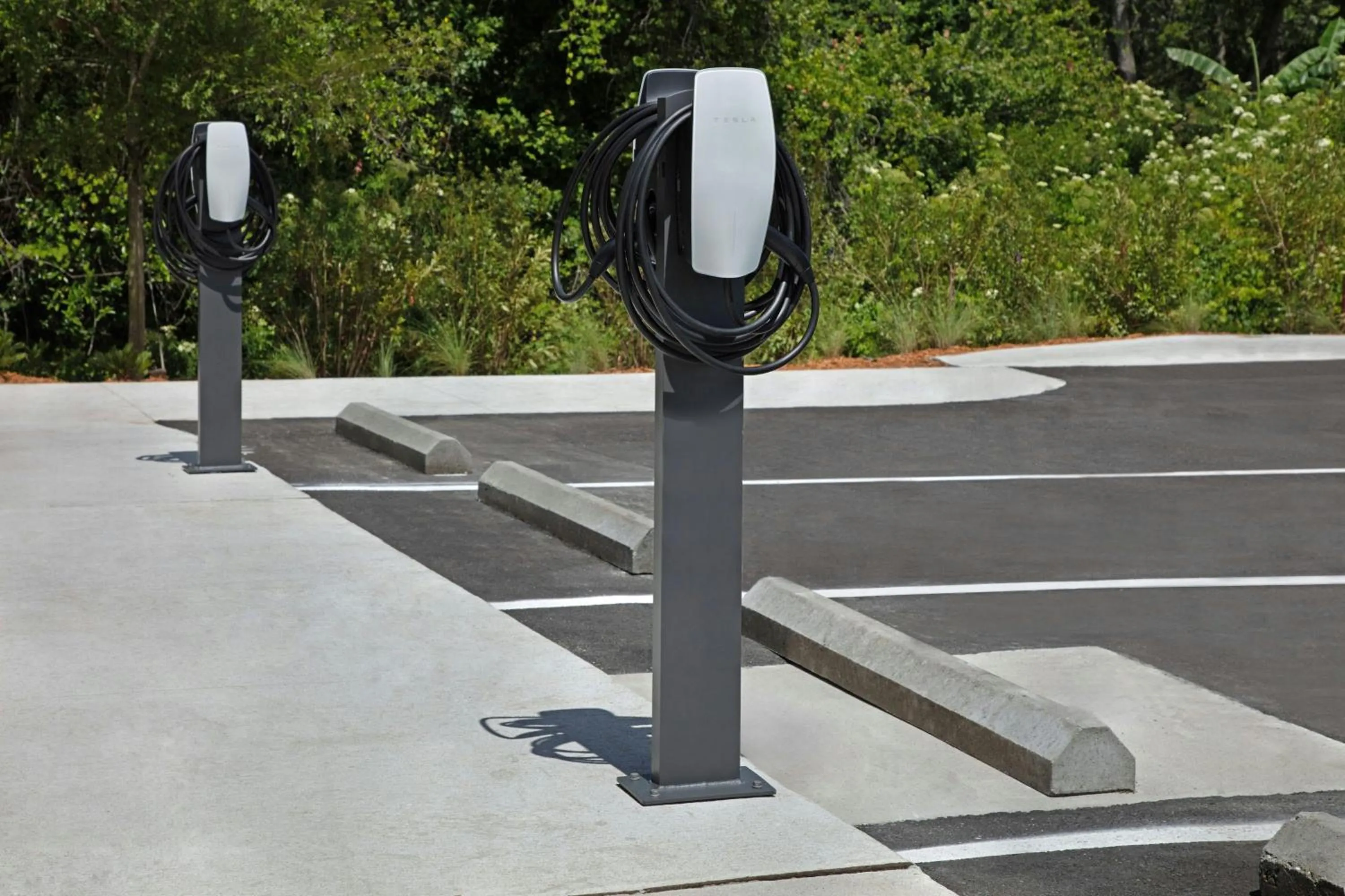 Other in TownePlace Suites by Marriott Jacksonville Mayport