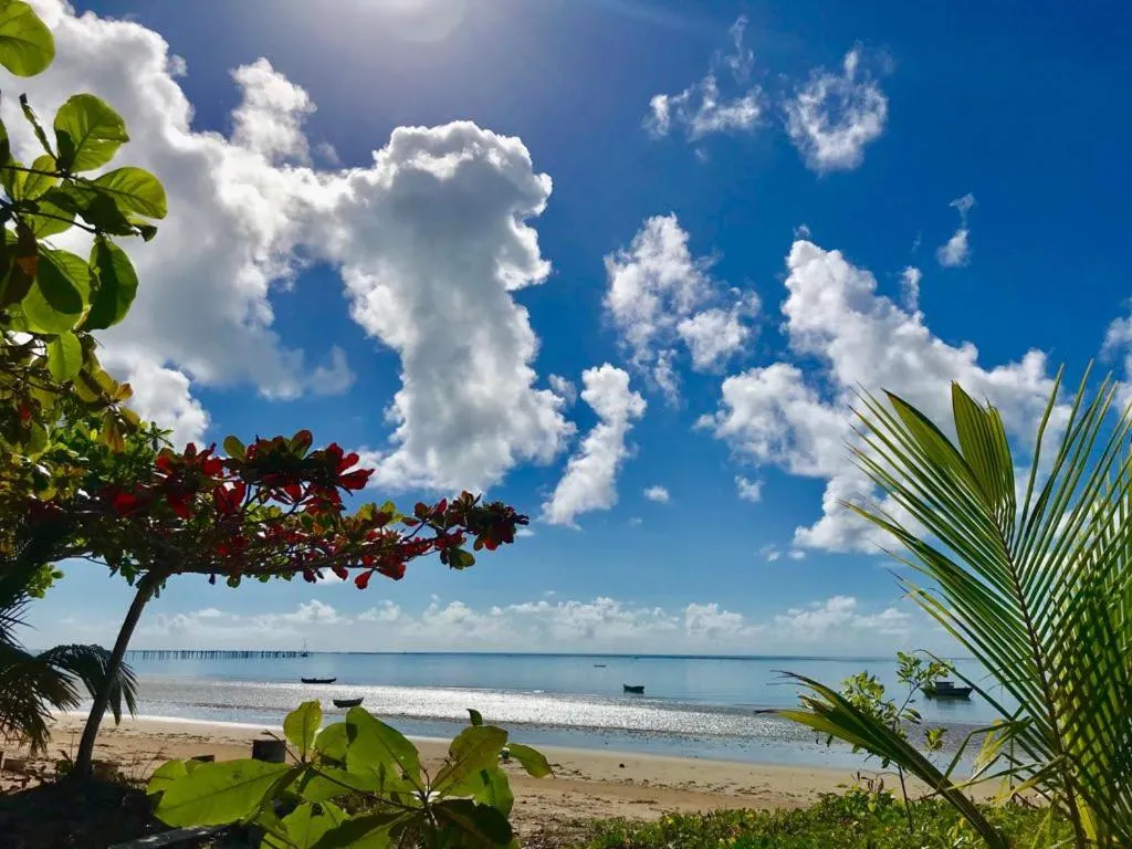 Natural landscape in Pousada Axe