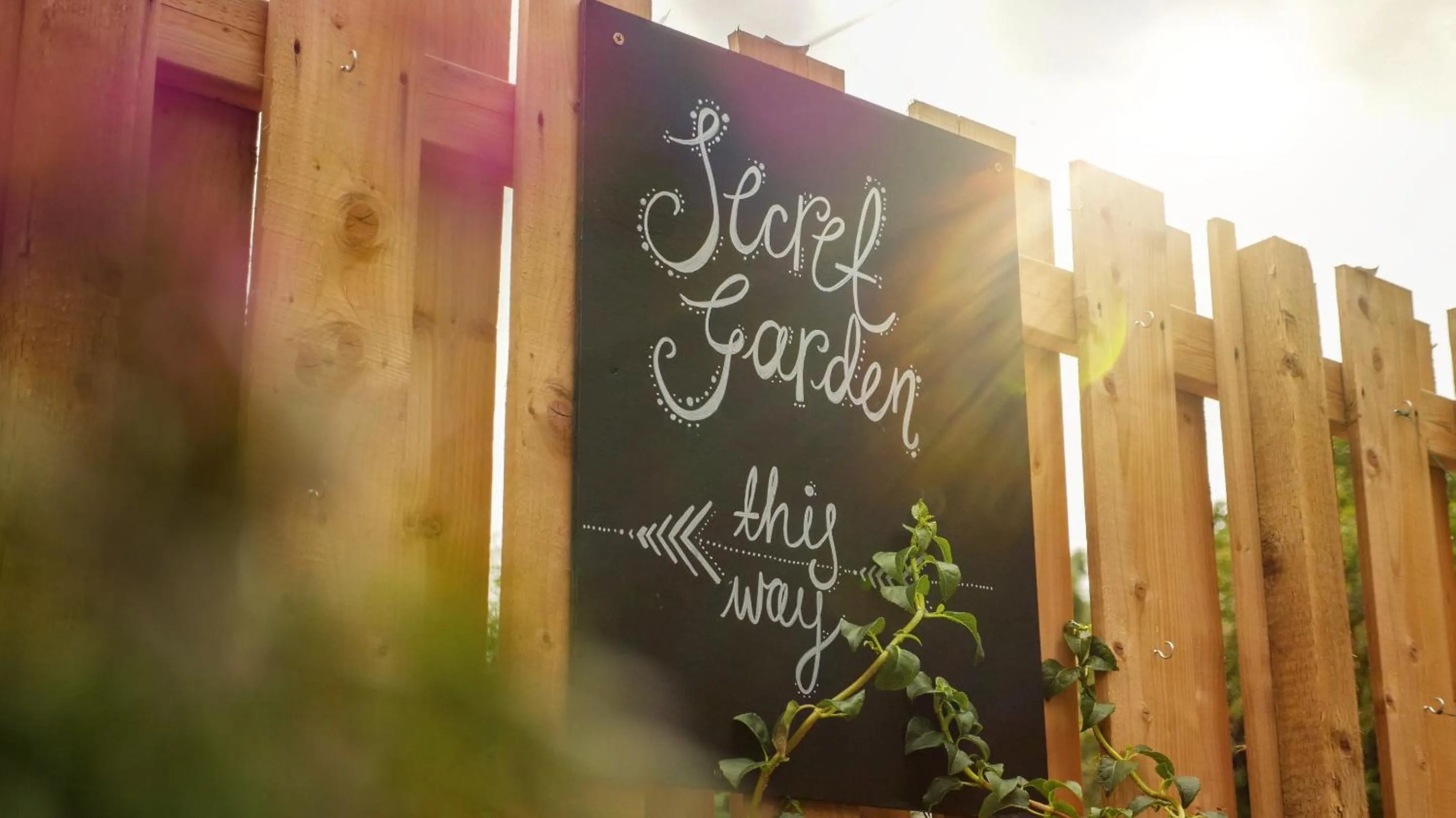 Garden in Duke William Hotel