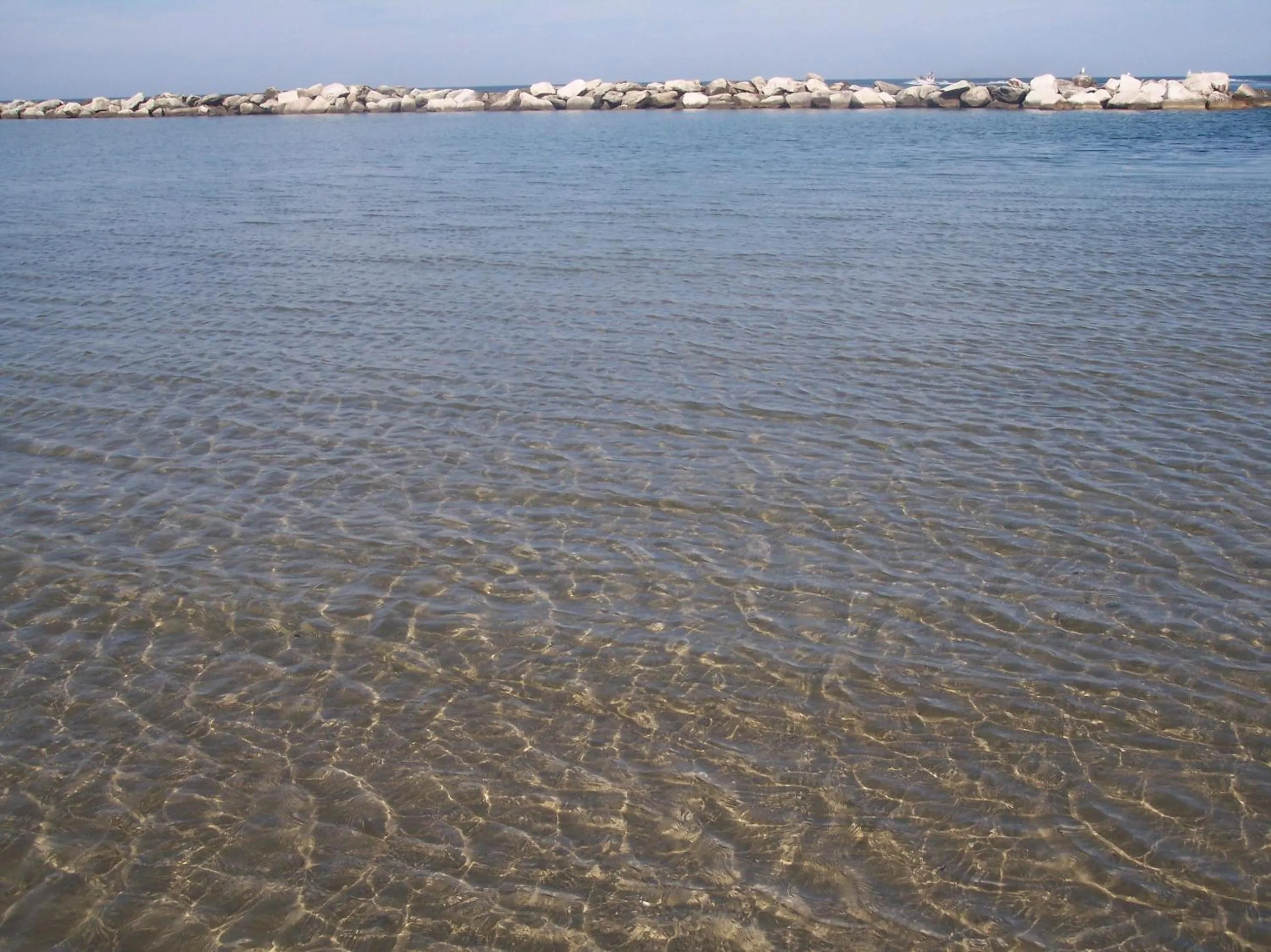 Area and facilities in Hotel Eden