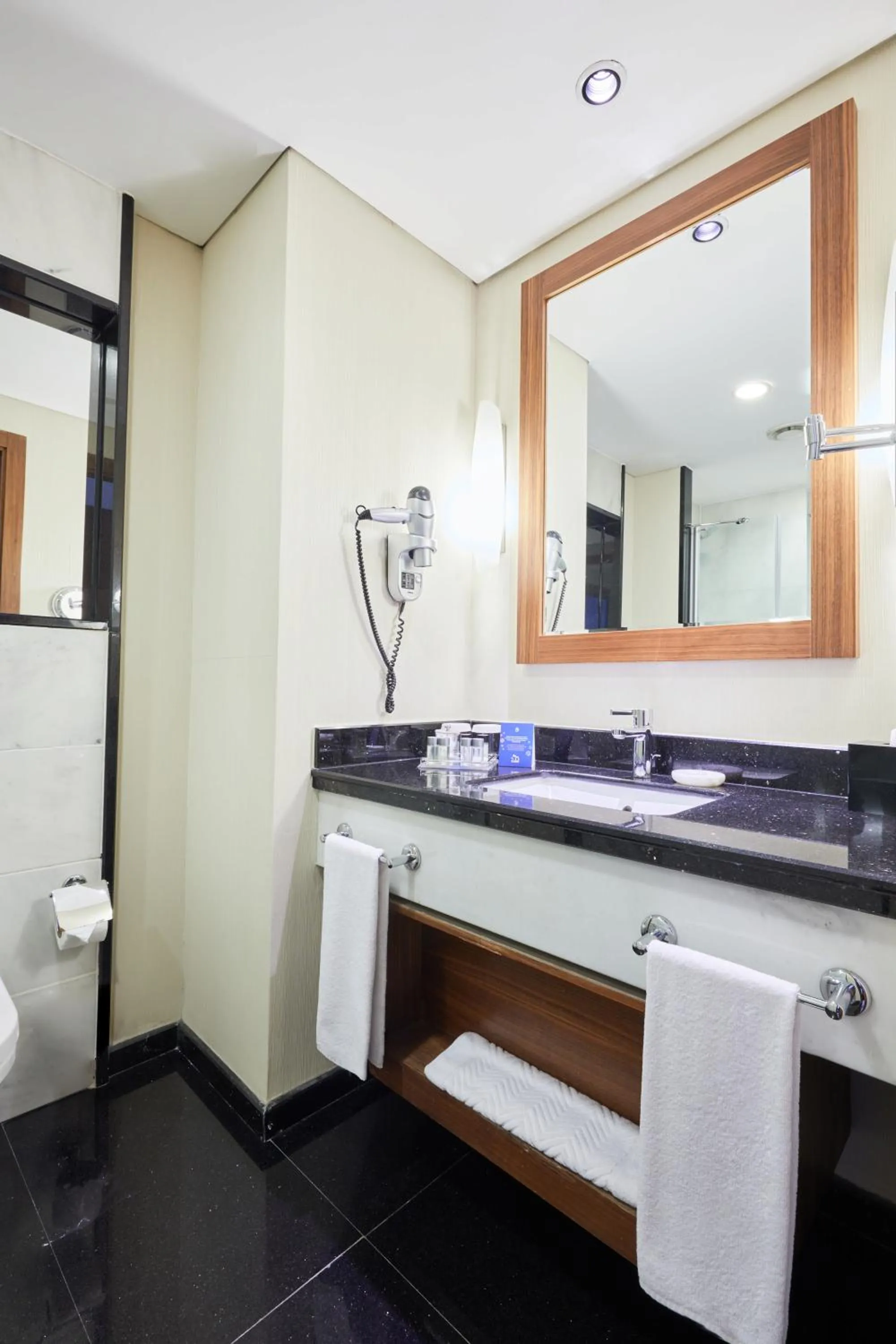 Toilet in Dedeman Konya Hotel Convention Center