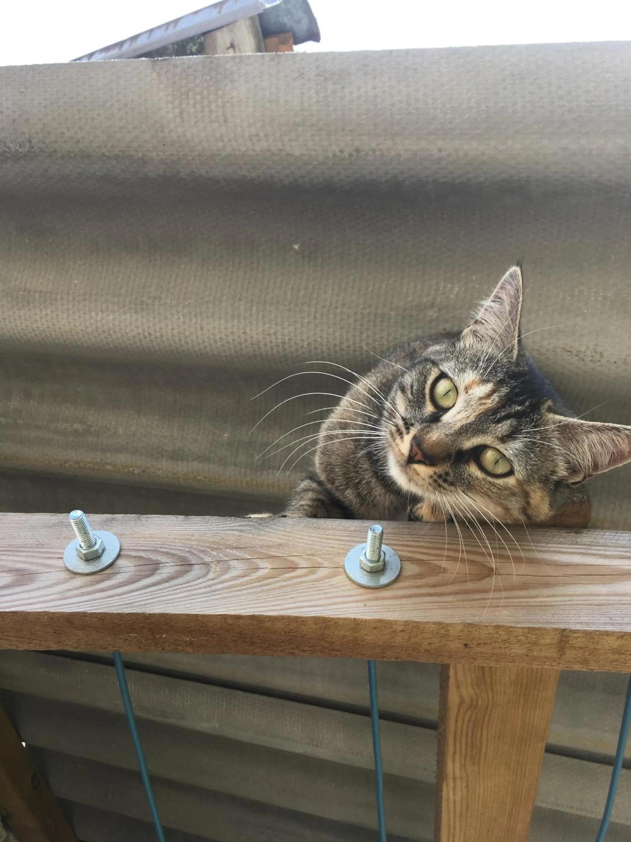 Garden in Grange d'Anjeux Bed & Breakfast