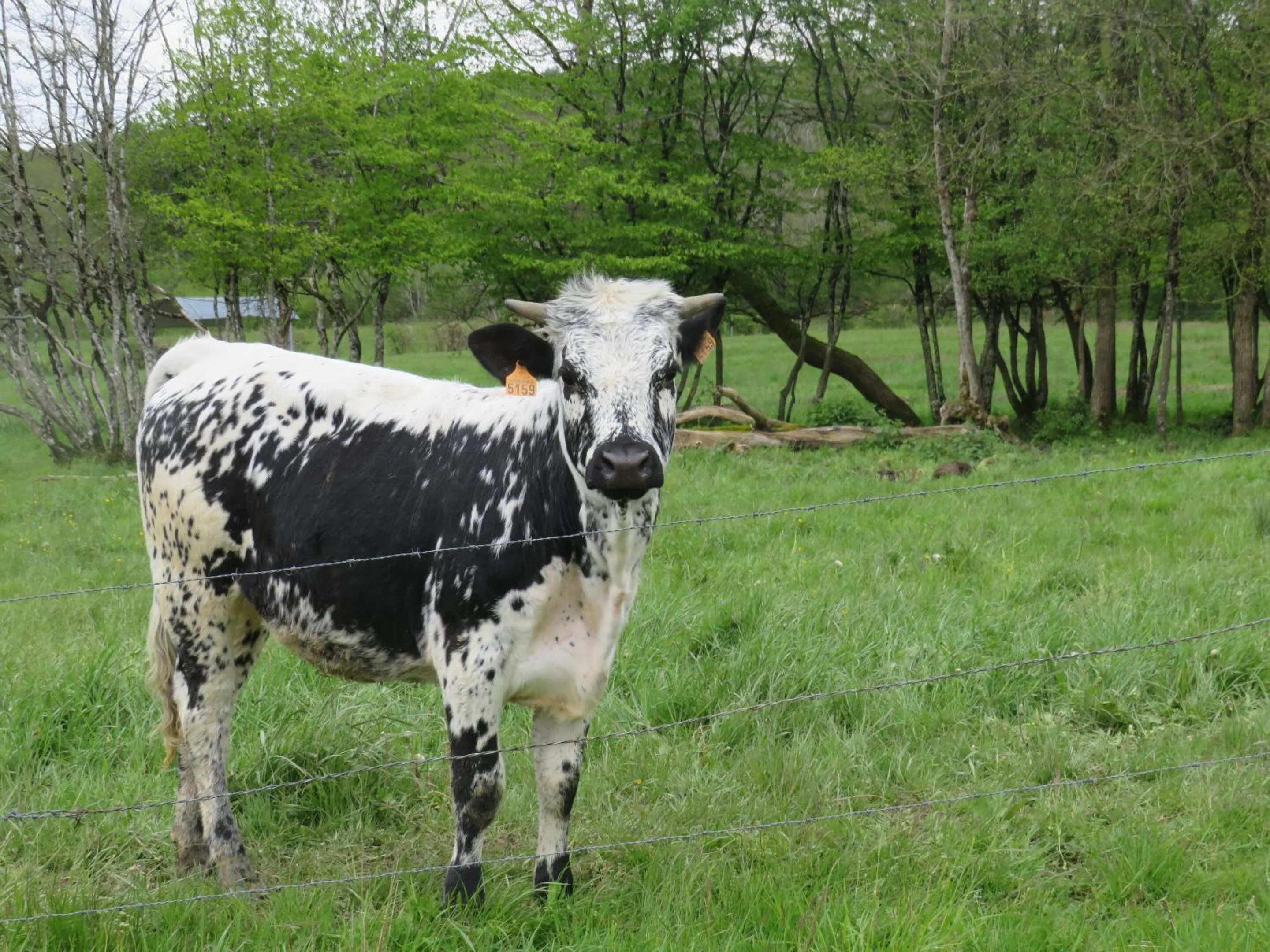 Natural landscape in Grange d'Anjeux Bed & Breakfast