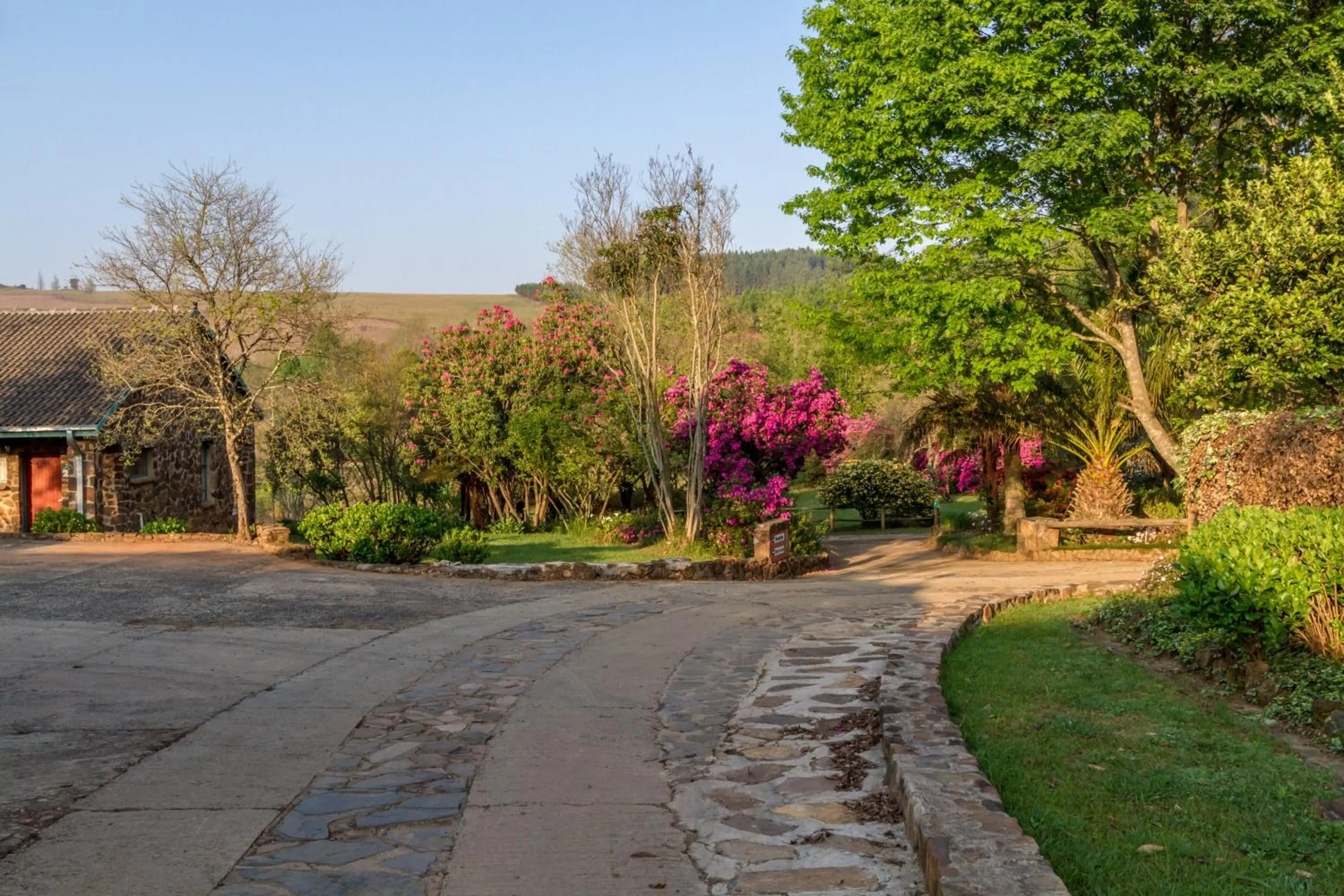 Garden in Misty Mountain