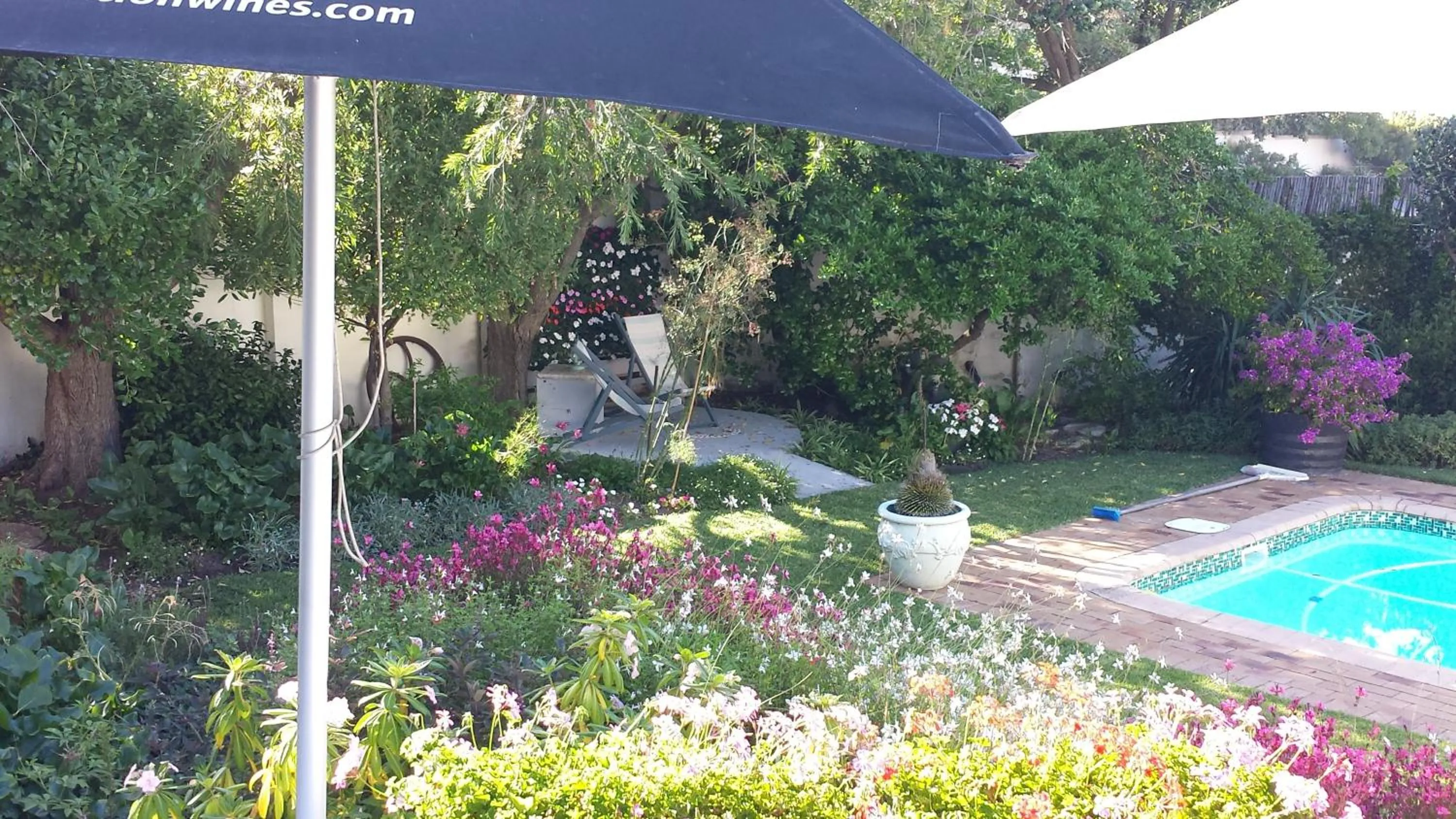 Garden in Walker Bay Manor Mansion PTY