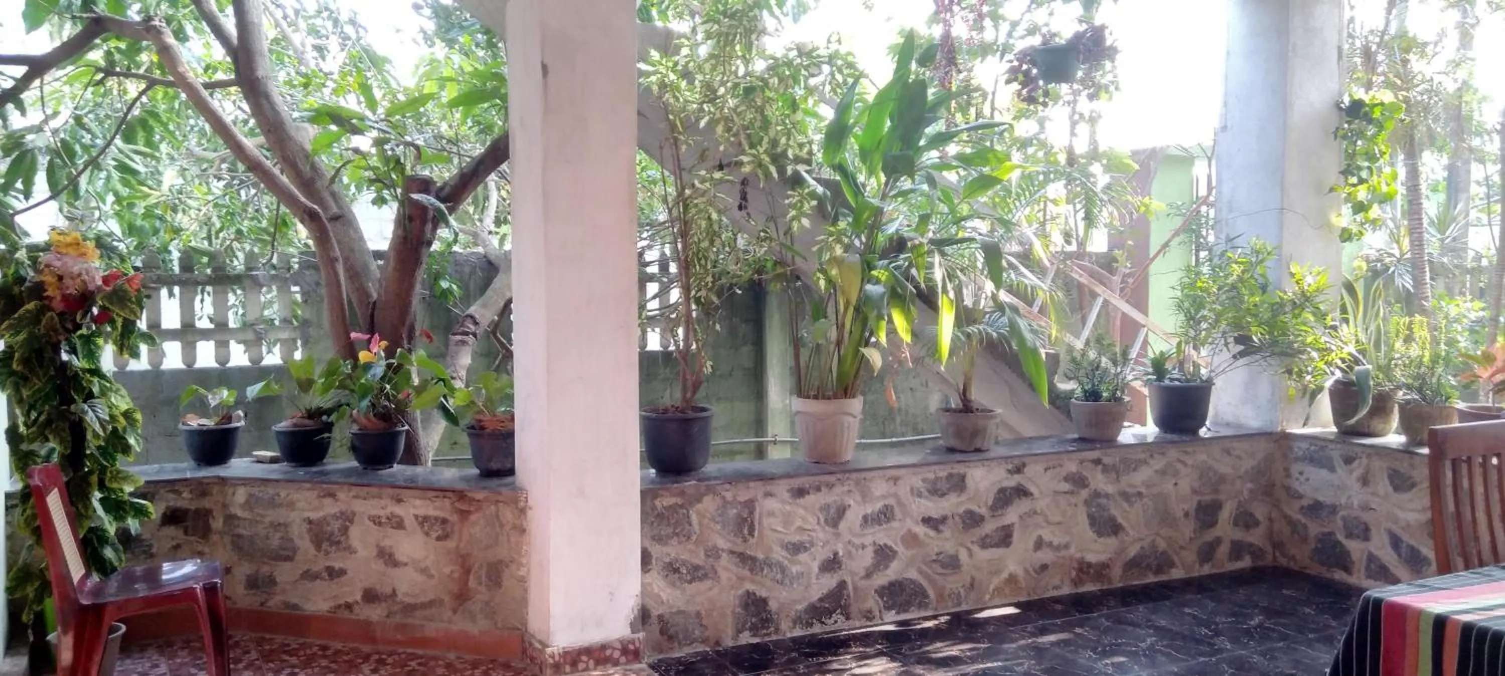 Garden view in House Of Esanya