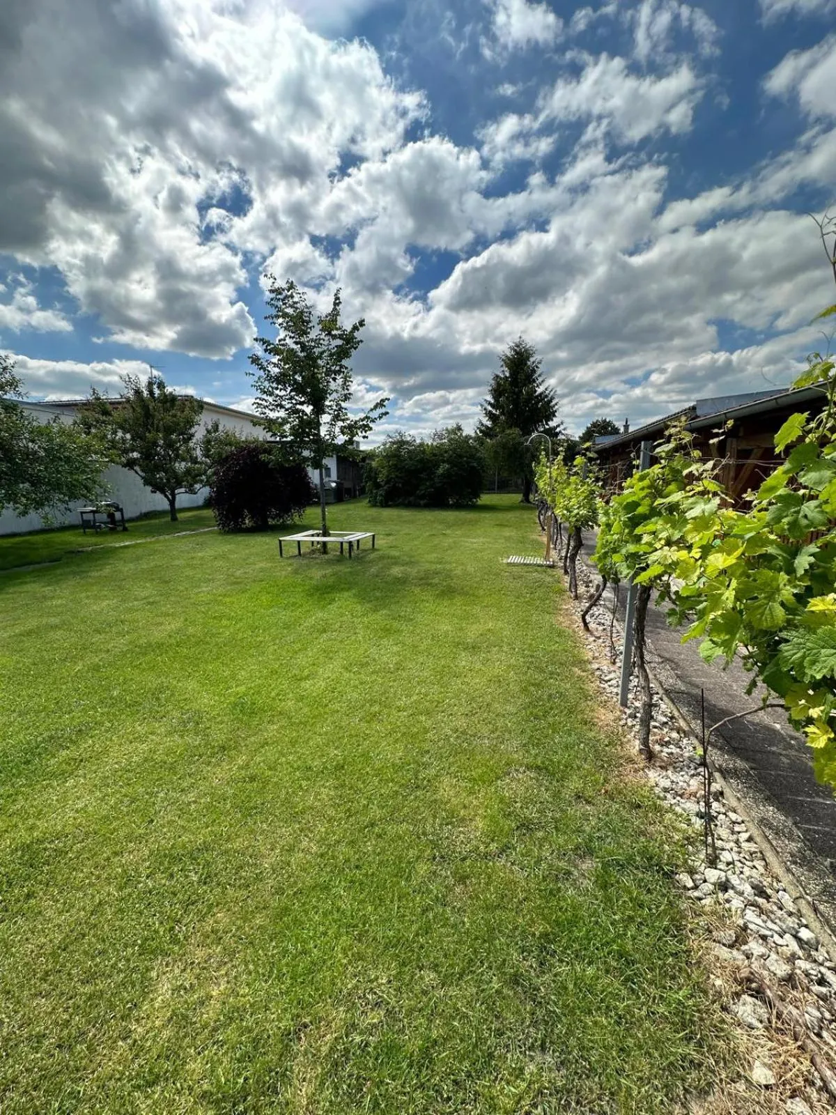 Apartmán Lípa Mikulov