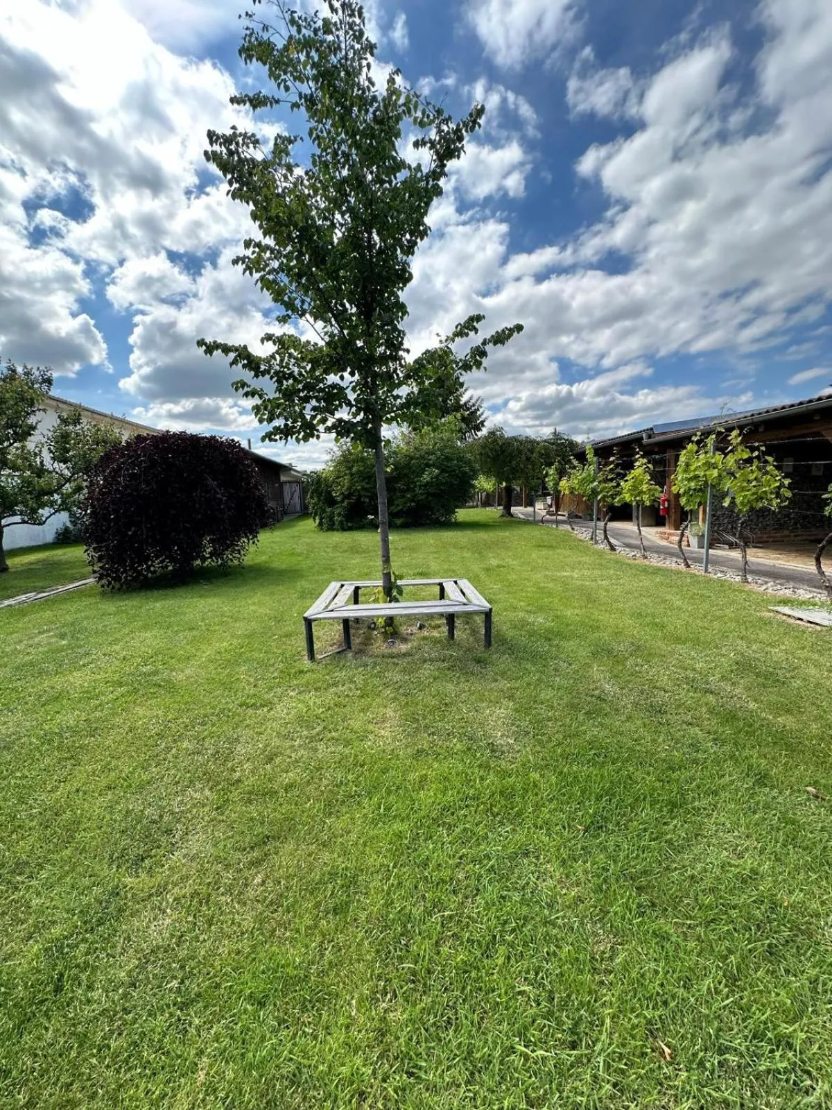 Apartmán Lípa Mikulov