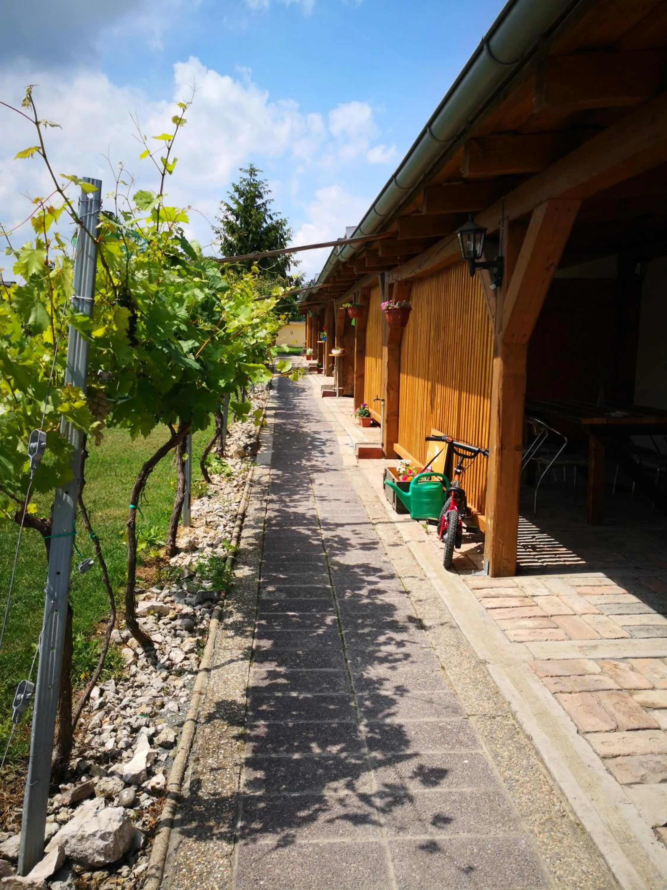 Apartmán Lípa Mikulov