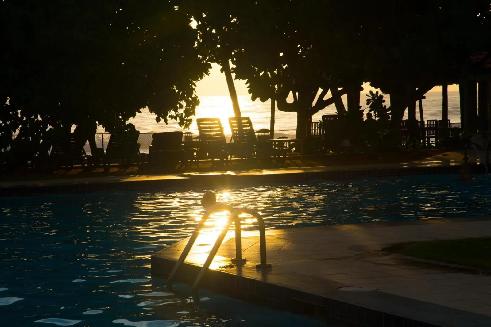 Pool view in Hotel Lanka Super Corals