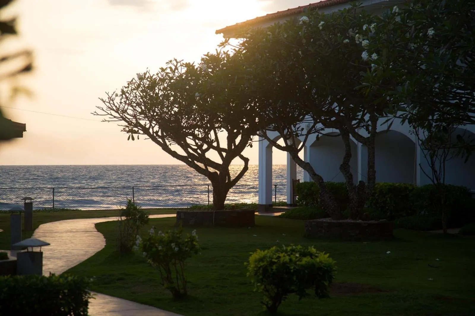 Garden in Hotel Lanka Super Corals