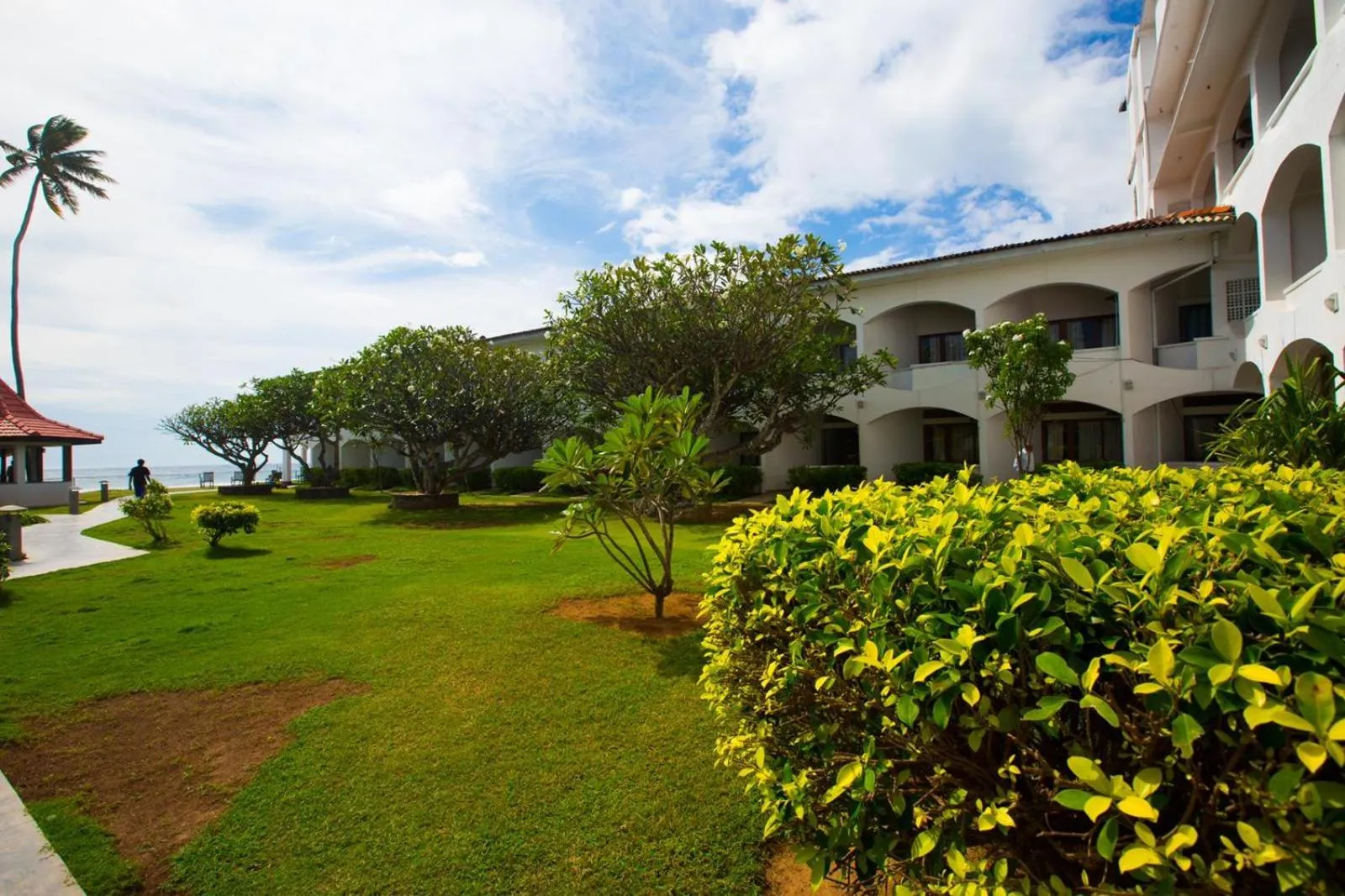 Garden in Hotel Lanka Super Corals