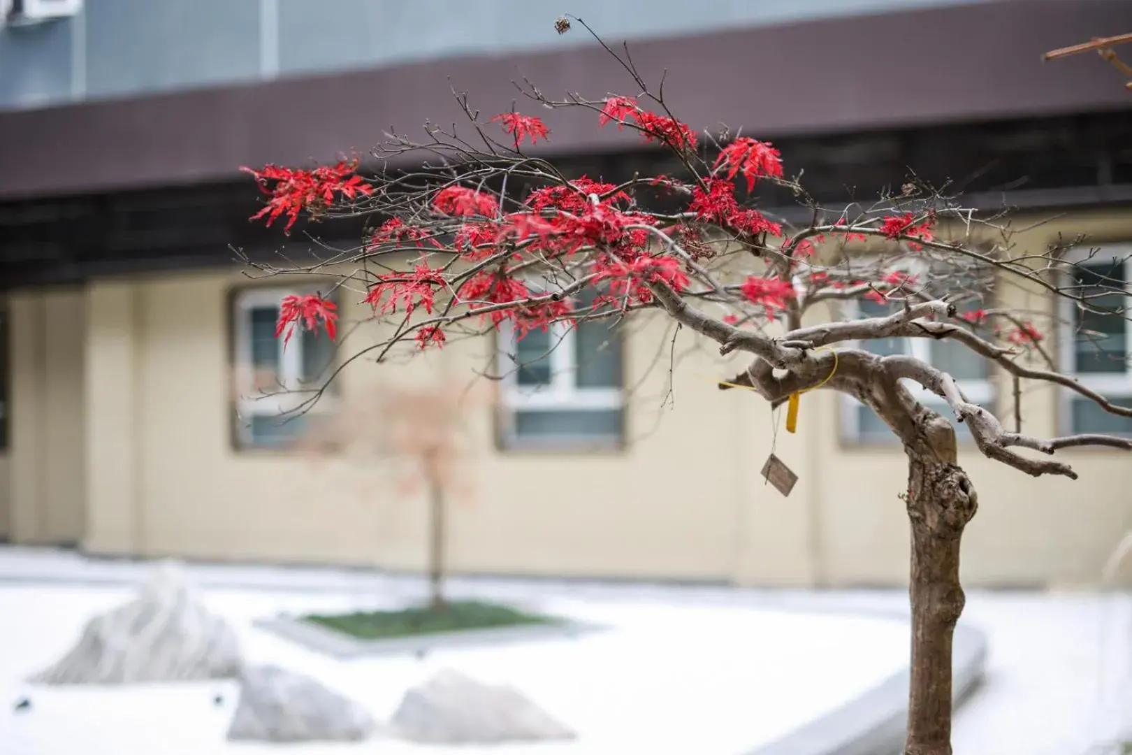 Property building in Ji Hotel - Shanghai Nanjing Road People's Square Property building in Ji Hotel - Shanghai Nanjing Road People's Square