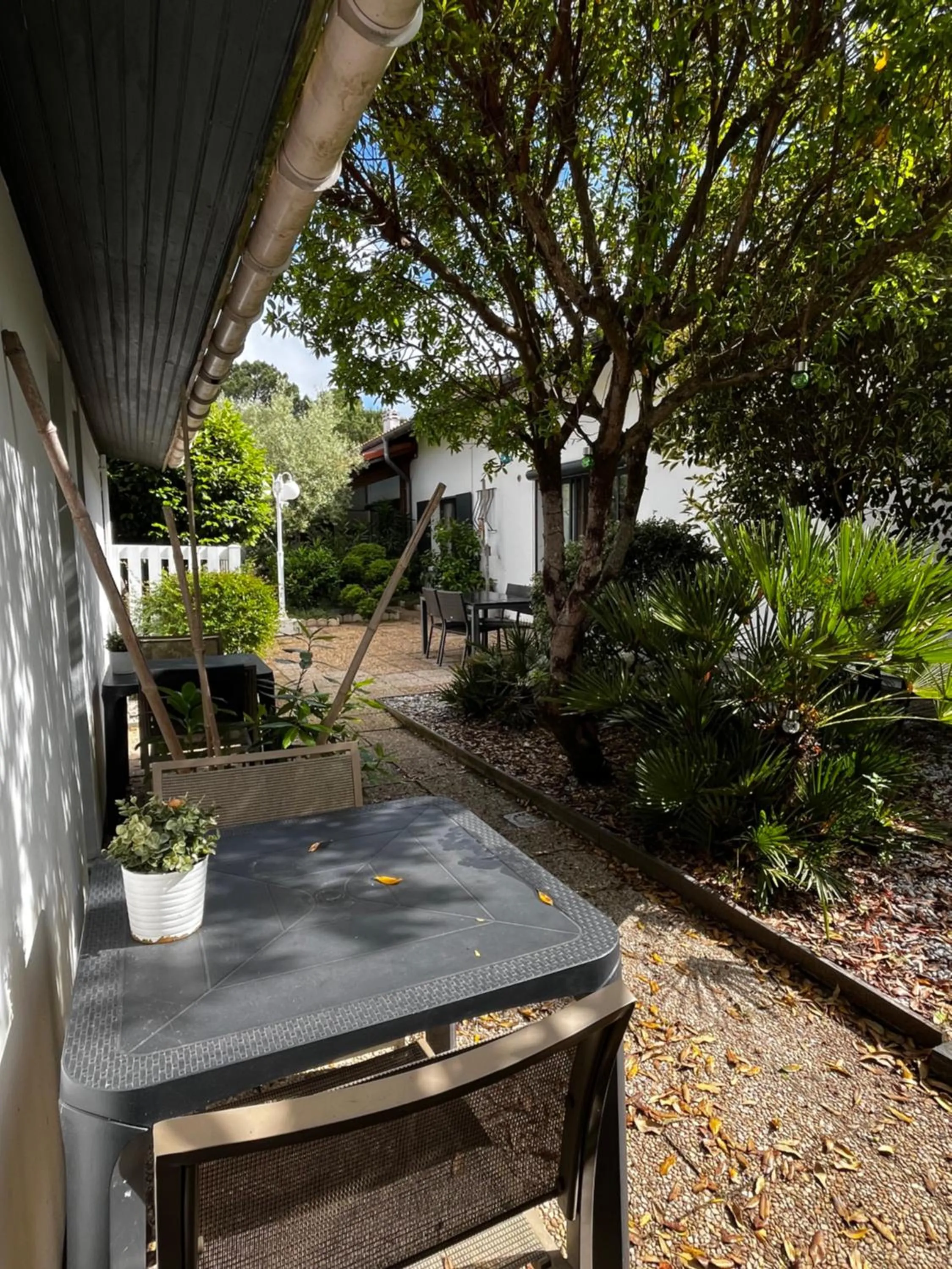 Garden in Hotel Cote et Lac