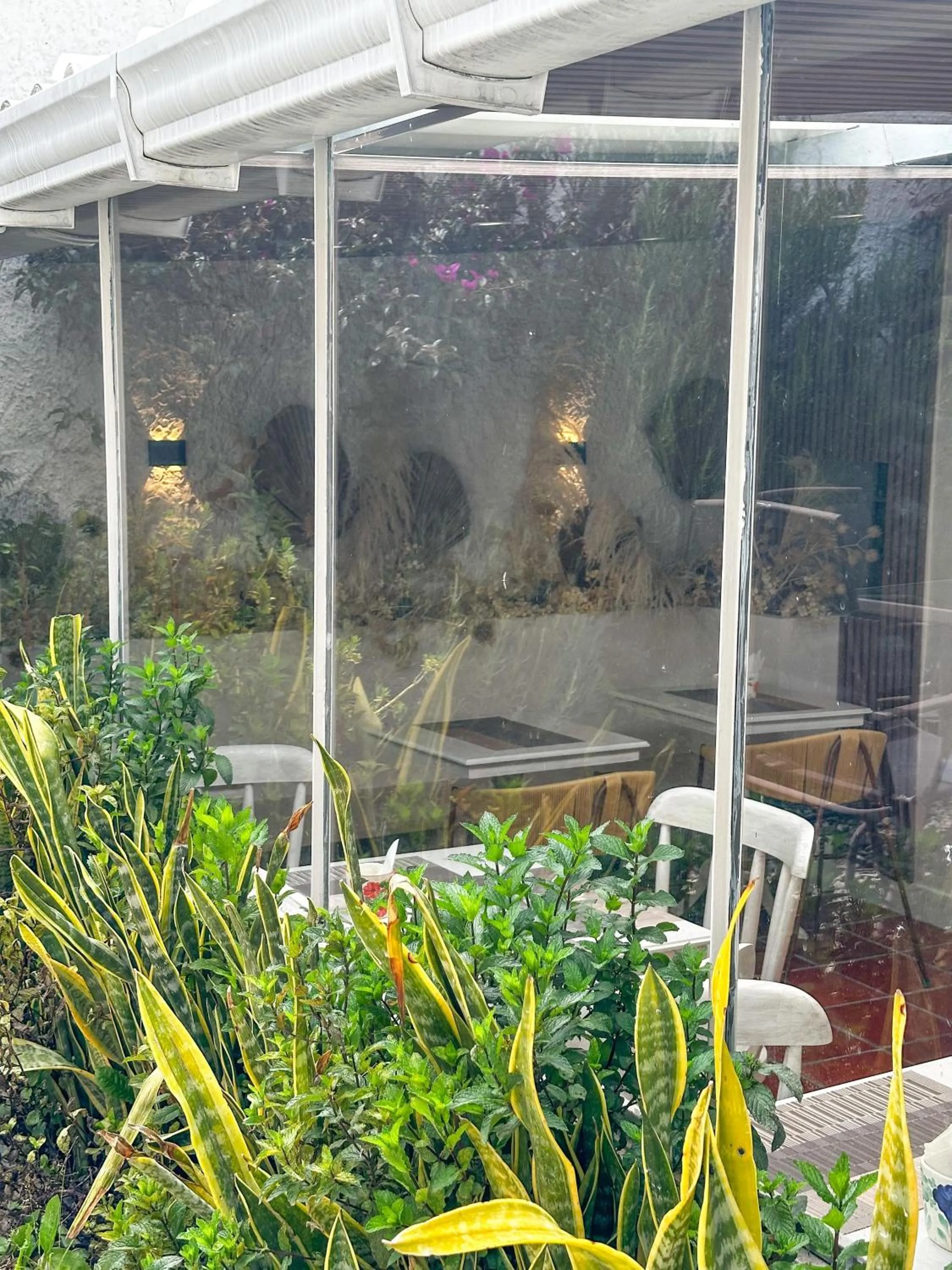 Garden view in Hotel Posada de Santa Elena