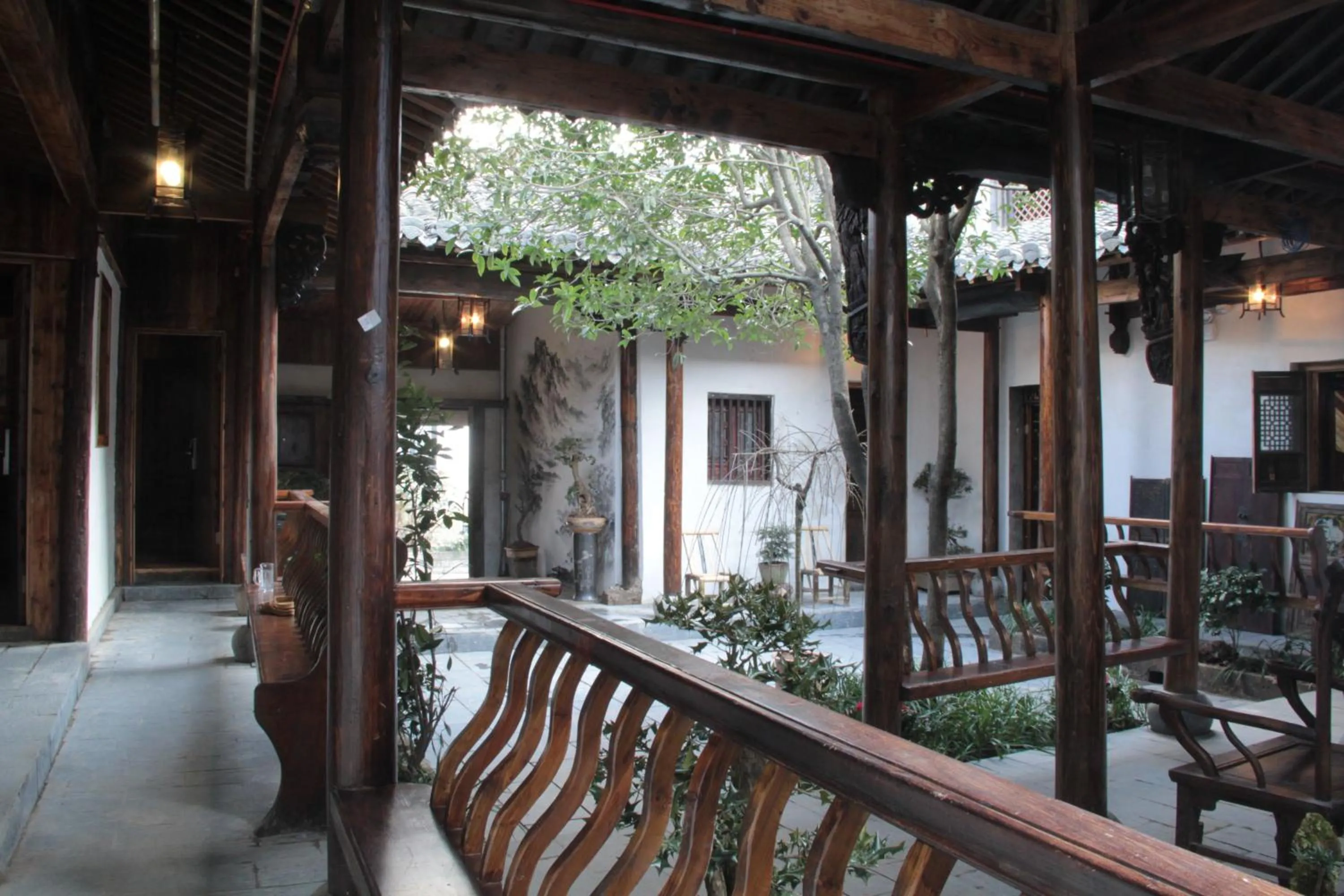 Garden in Old Street Courtyard (Free Pick up Service)