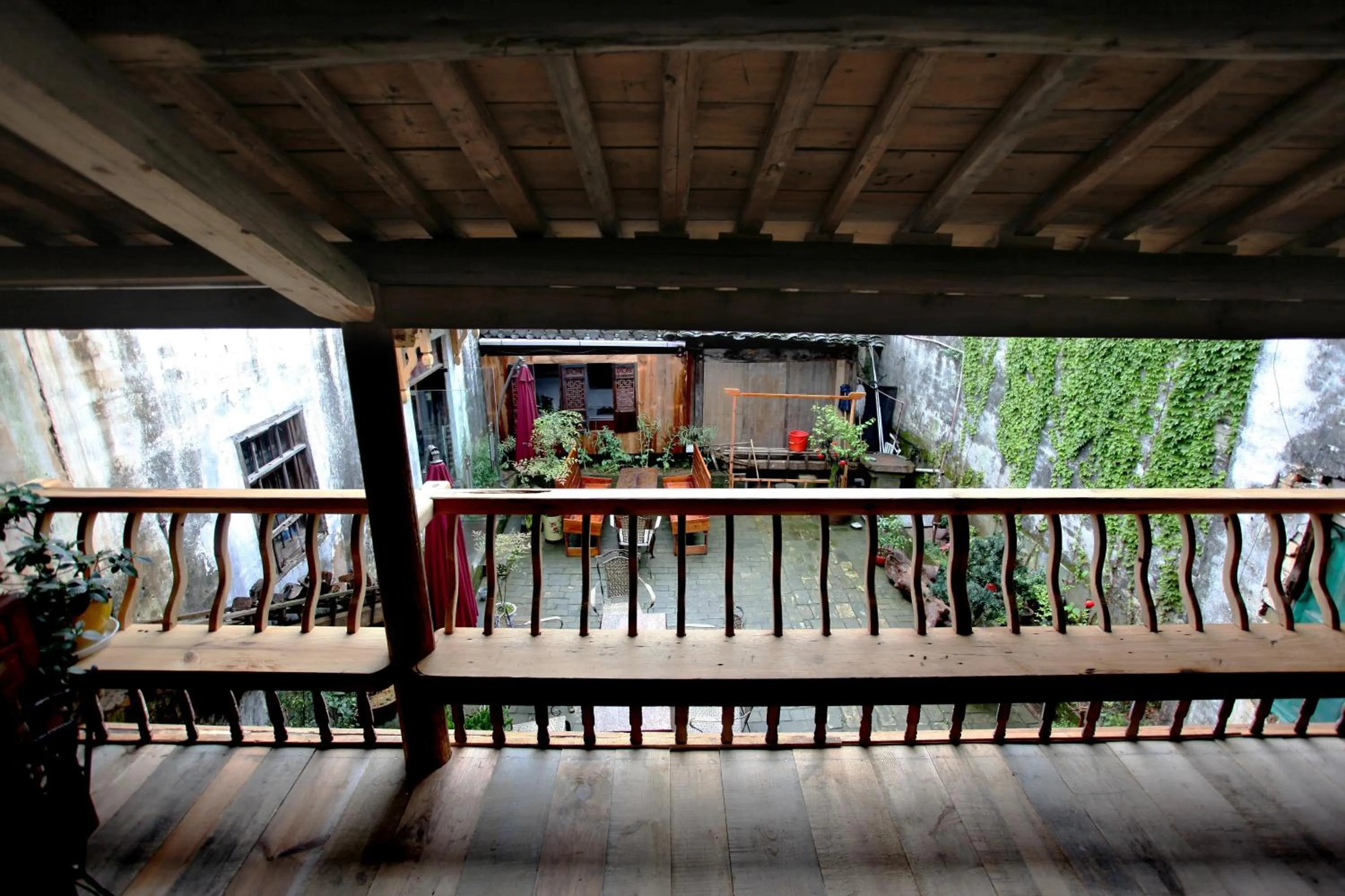Garden in Old Street Courtyard (Free Pick up Service)