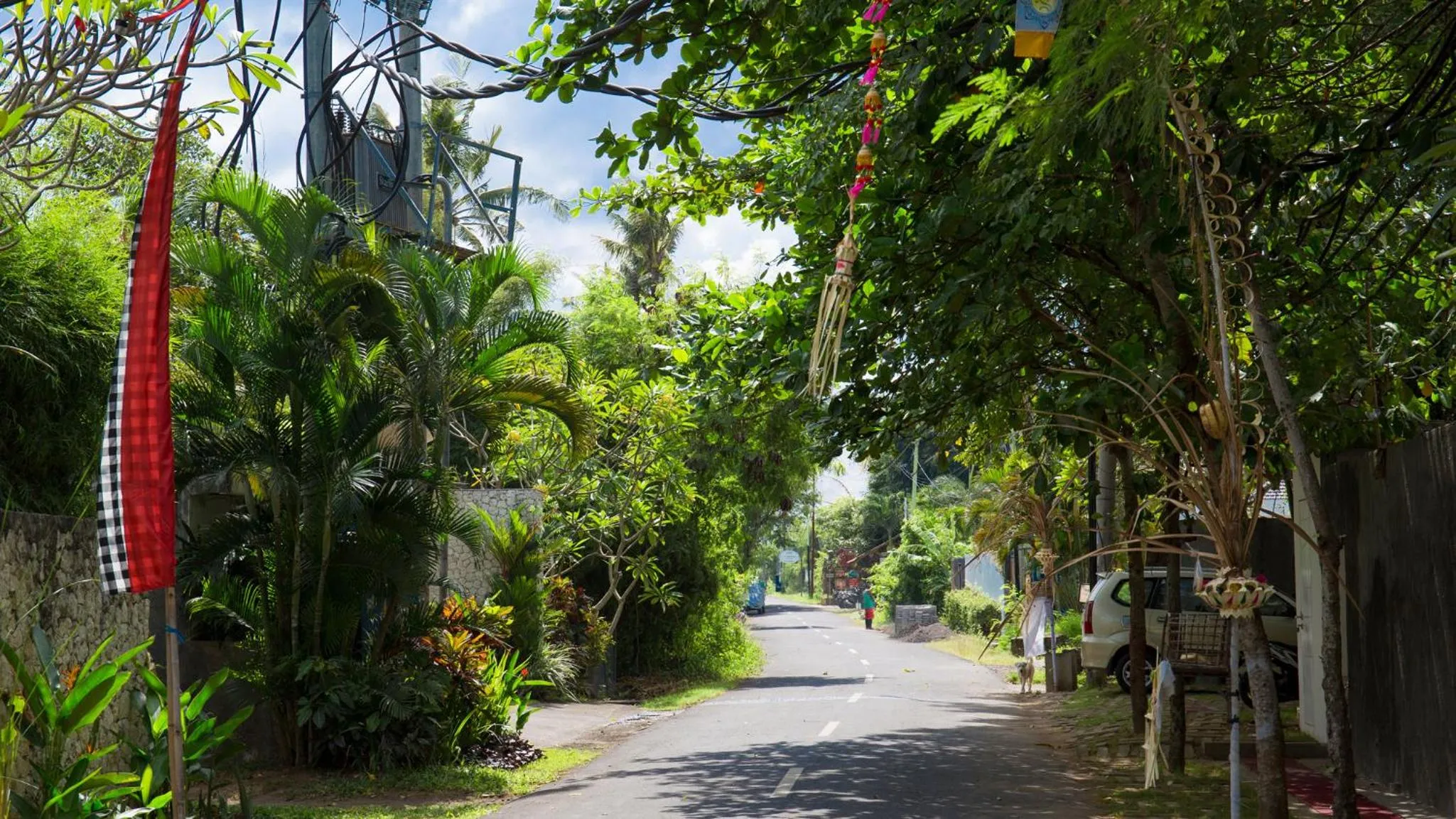 Neighbourhood in Villa Canggu