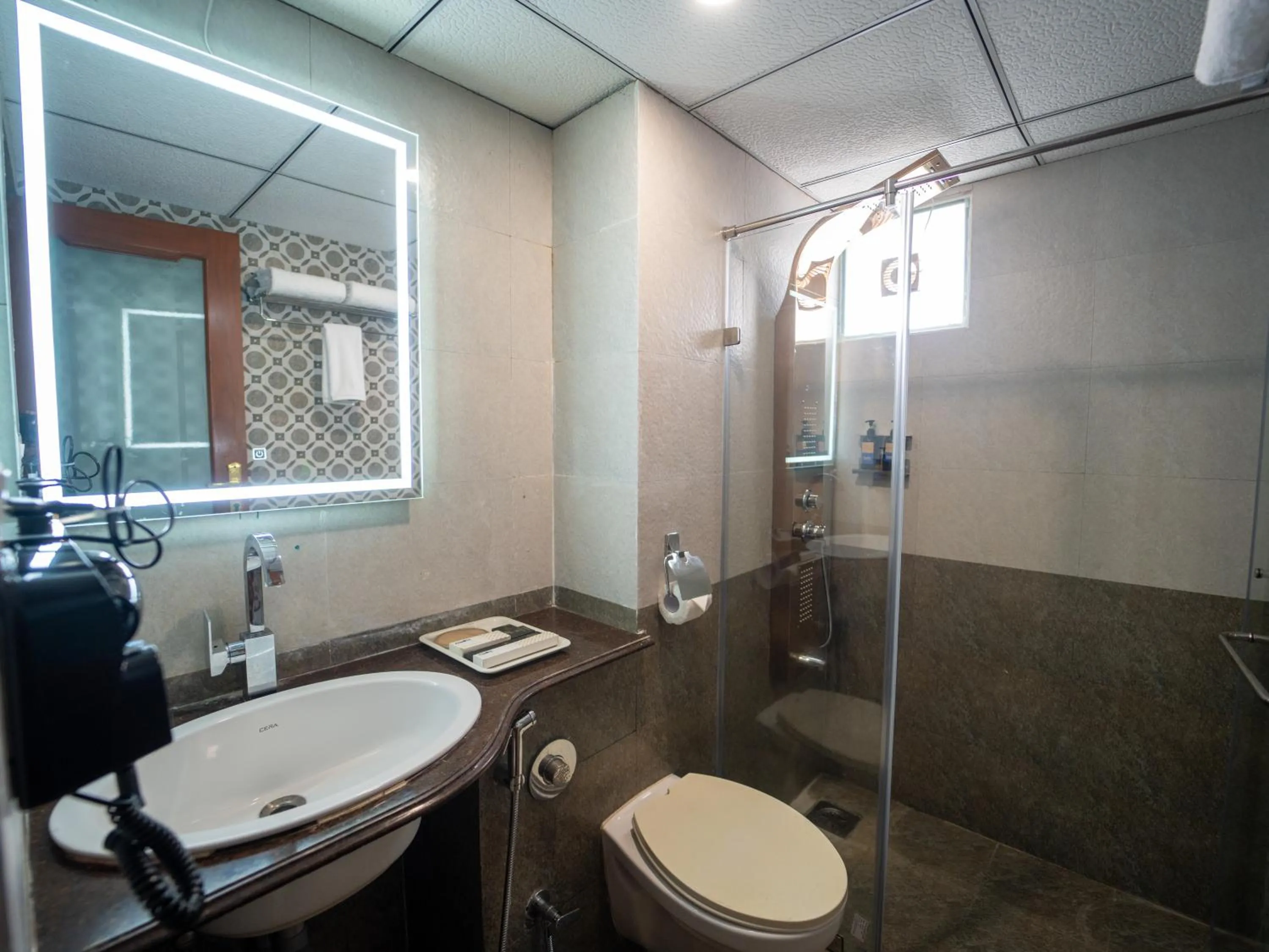 Toilet in Hotel Pravasa Stay