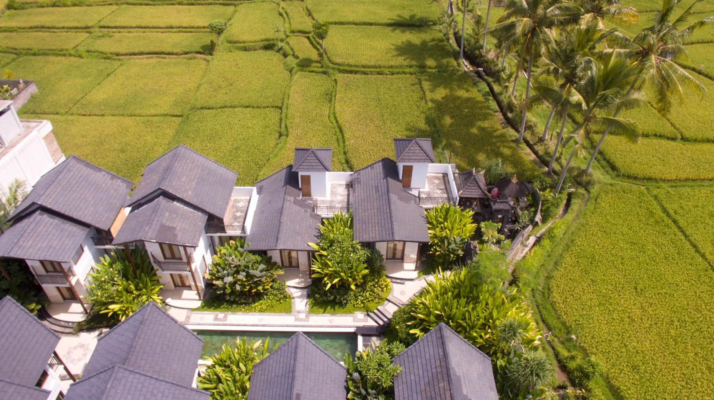 Bird's eye view in Bakung Ubud Resort and Villa