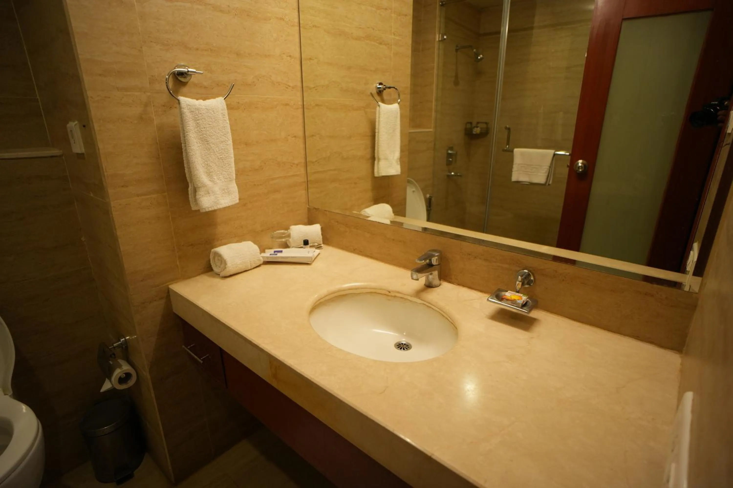 Bathroom in The Altruist Business Hotel Hitech